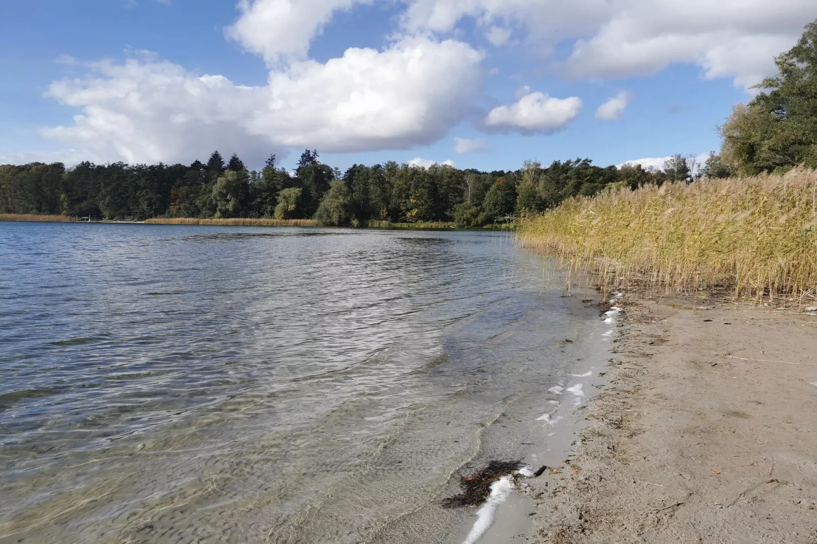 Luxus Appartement / 4 Personen-Gebiete Sommer 1 km