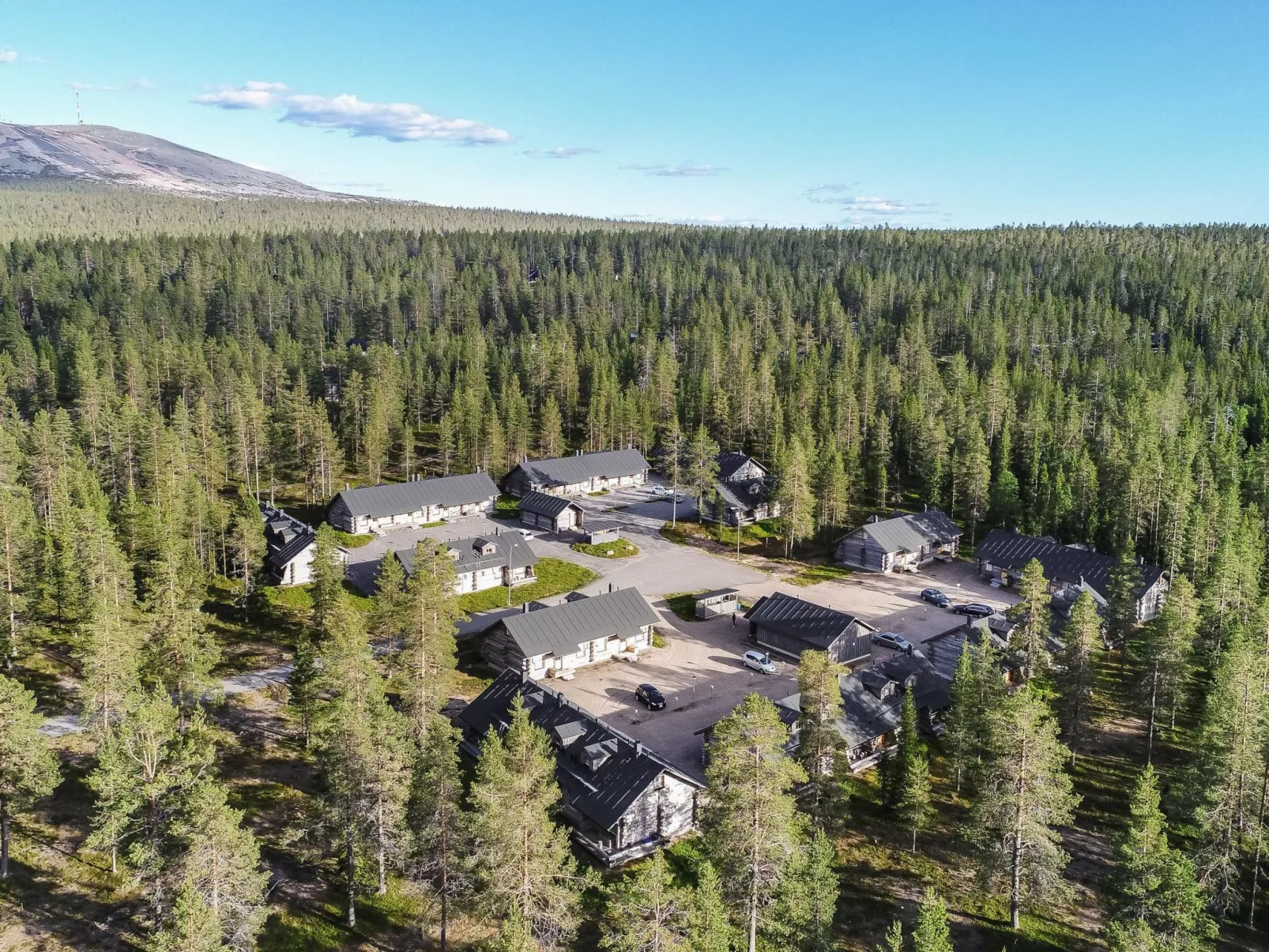 Teerentie / aurora (k 32) / p