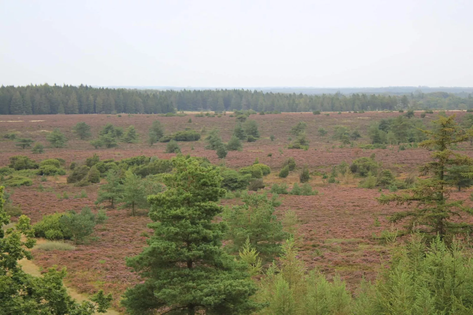 Maison de vacances dans le Jutland central-Non tagué