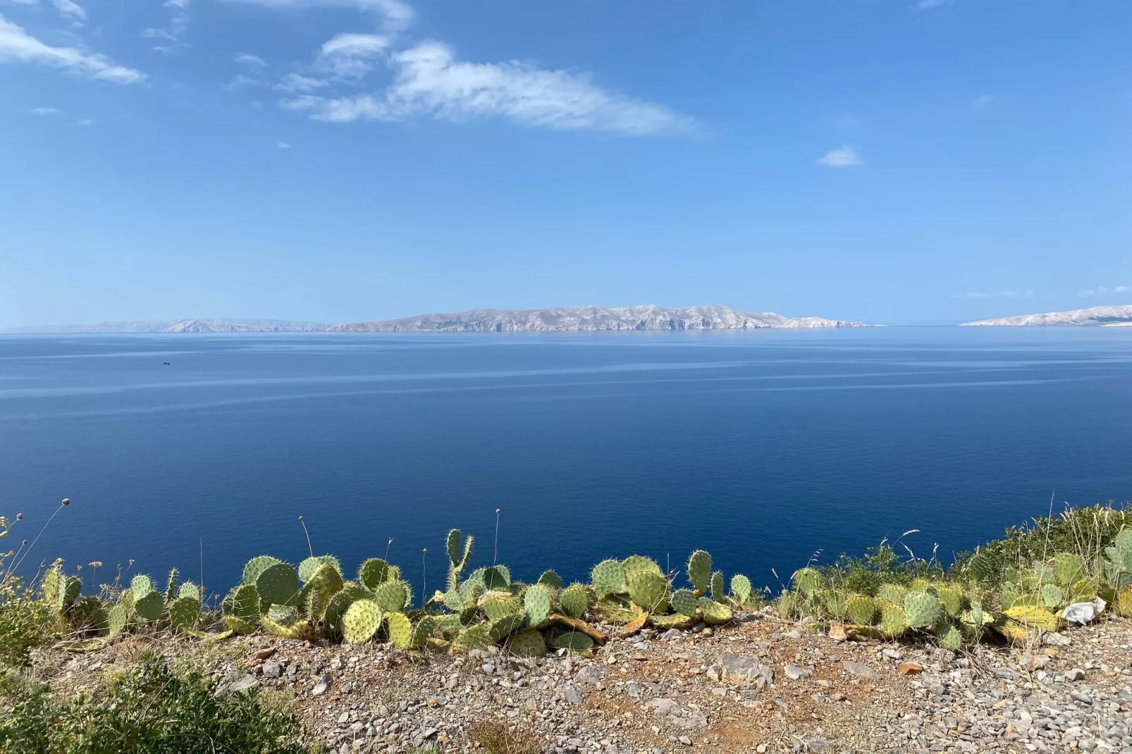 Niko 3-Areas within 1km in summer