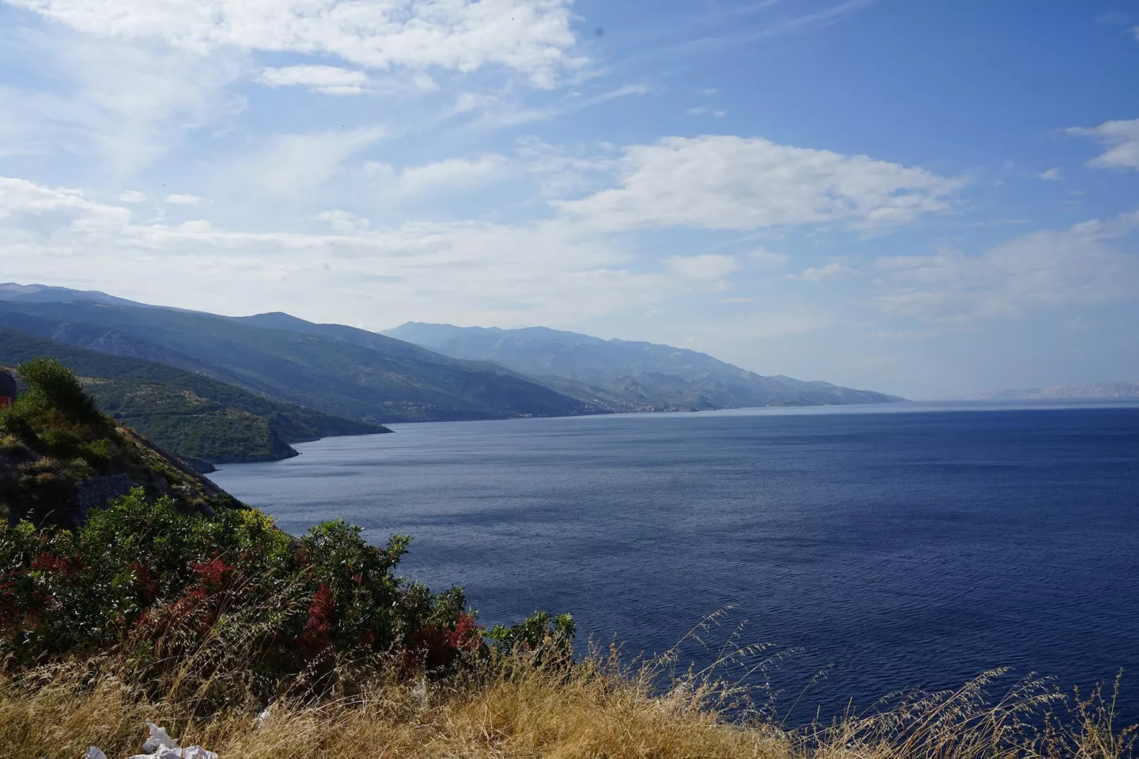 Niko 1-Gebiete Sommer 1 km