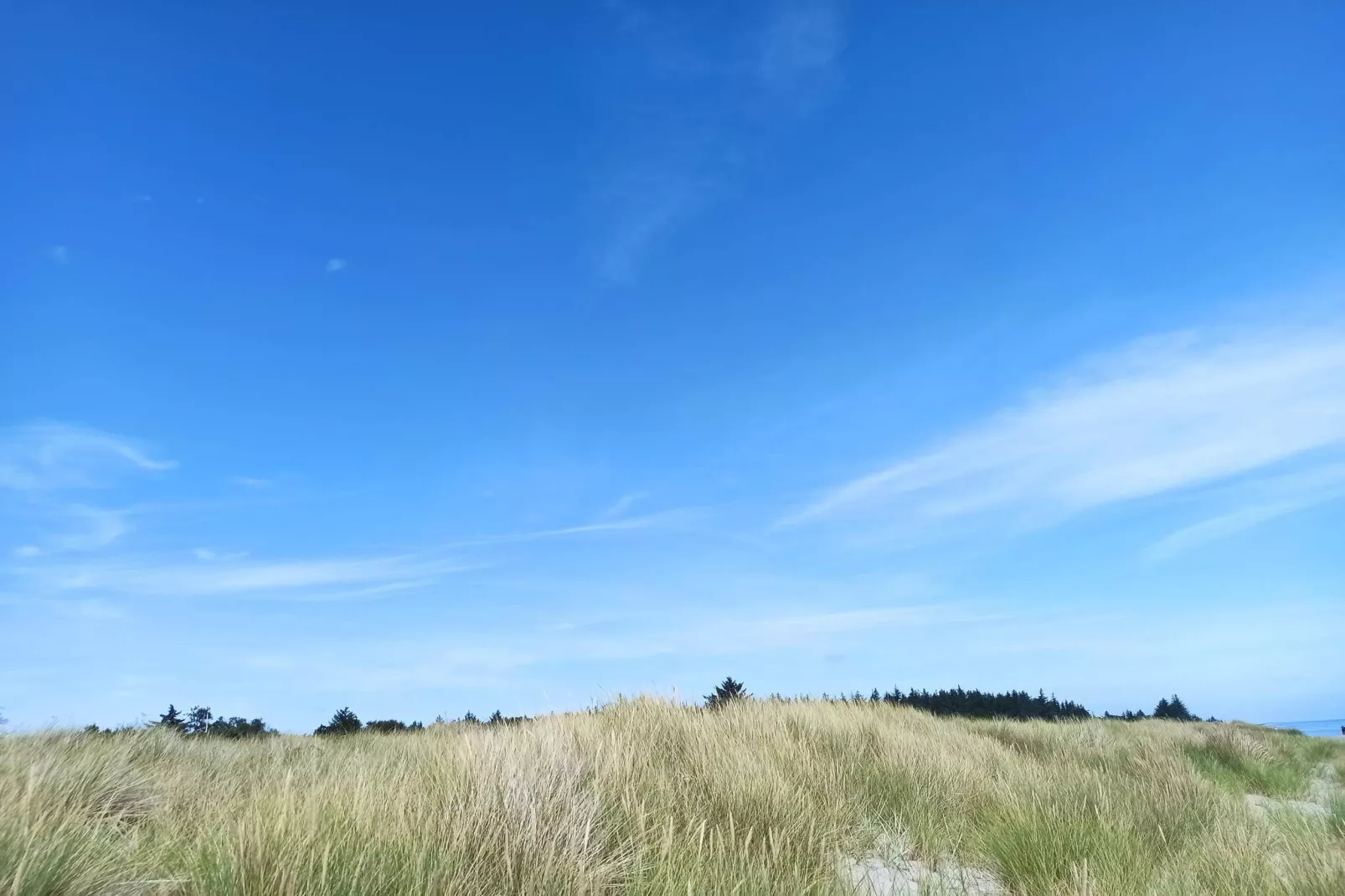 4 star holiday home in Hals-Untagged