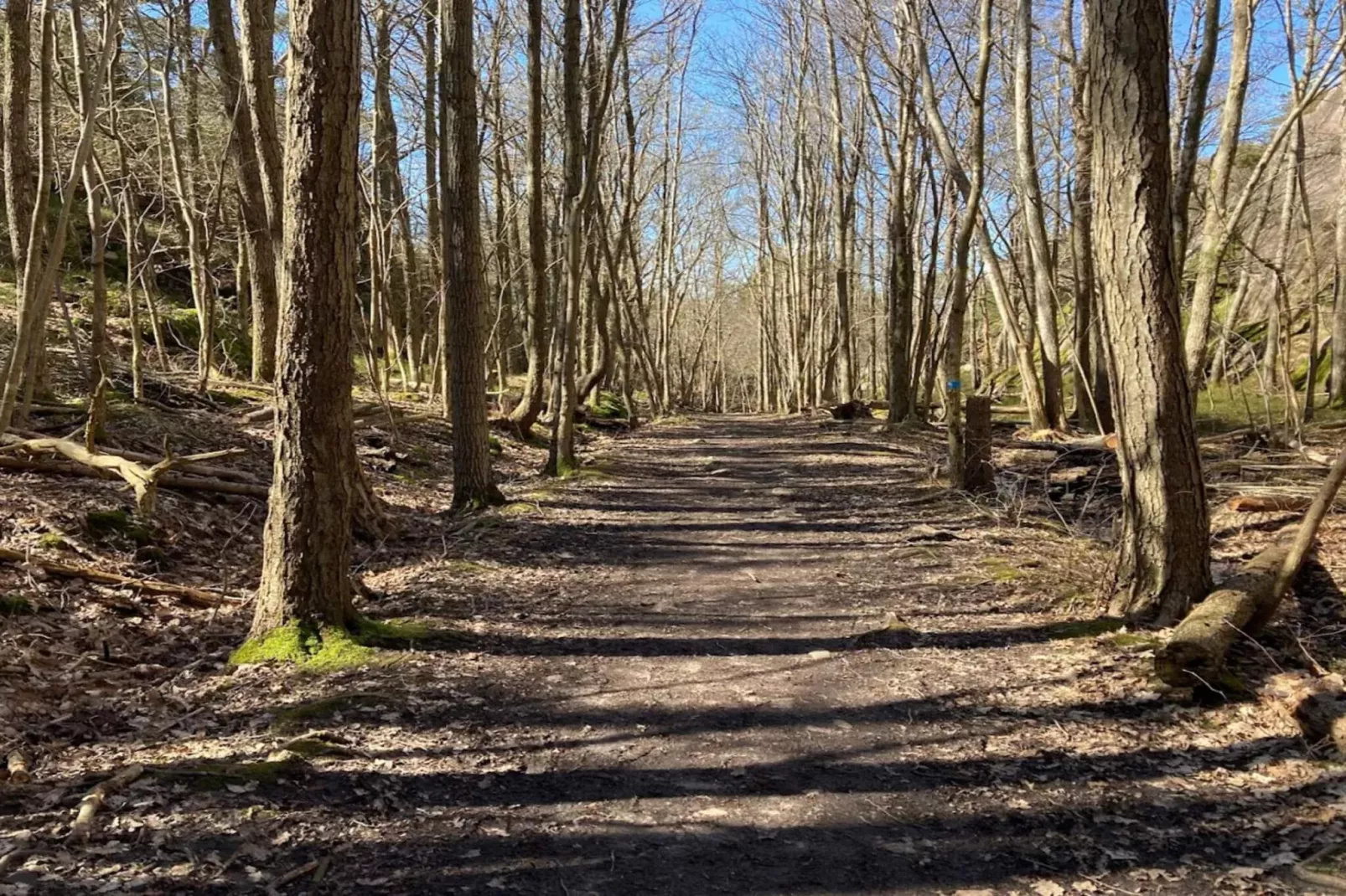 4 star holiday home in Mjörn-Untagged