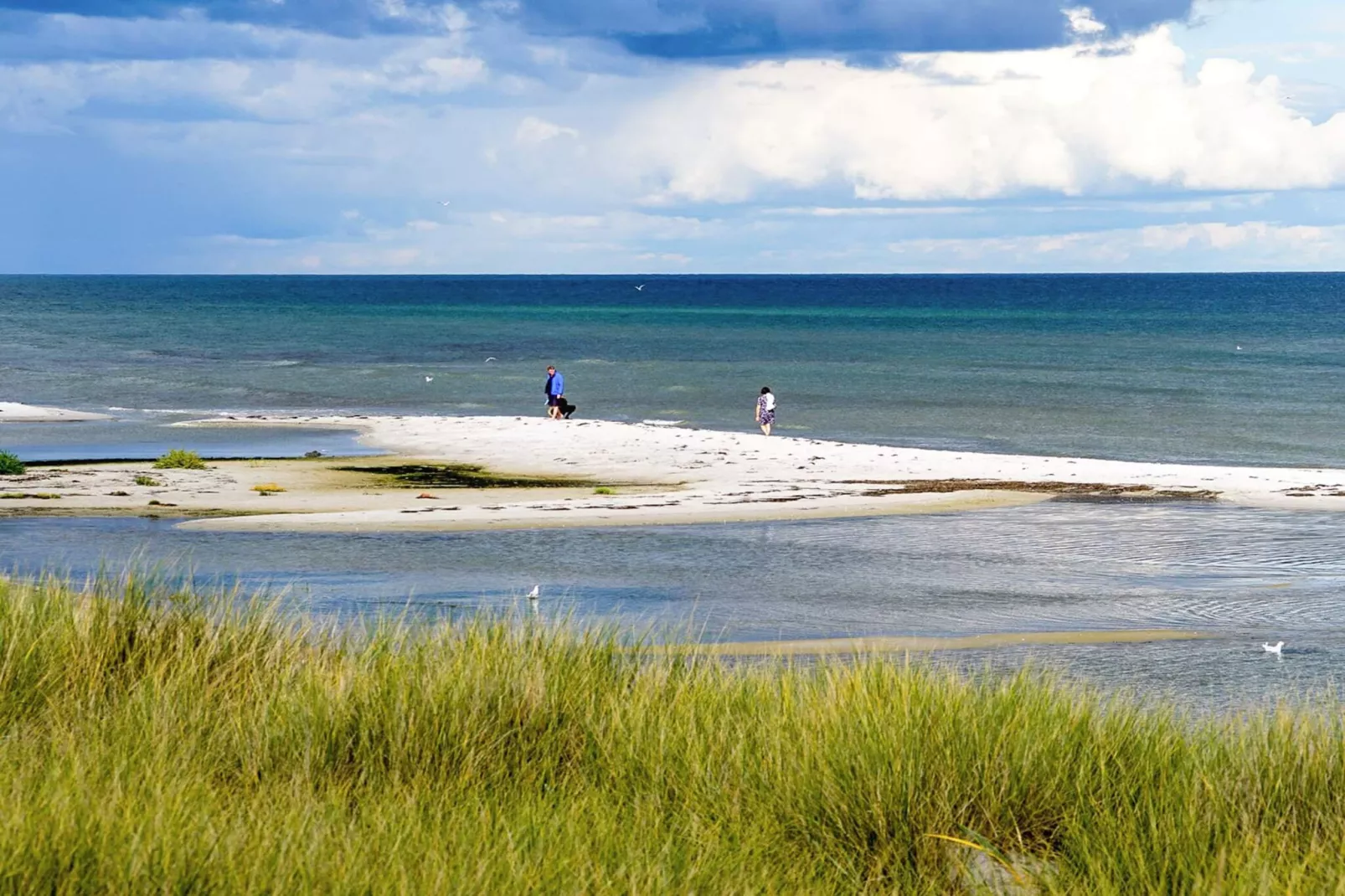 4 Sterne Ferienhaus in Hals-Wasserblick