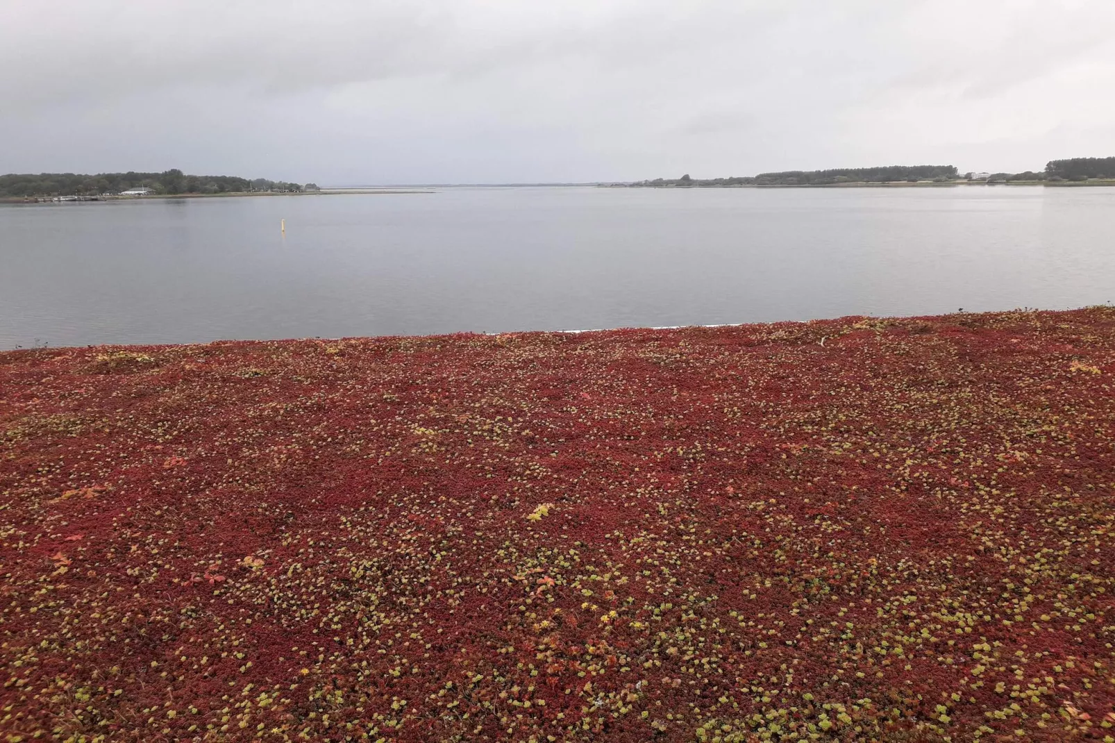 4 etoiles maison de vacances a Aalborg