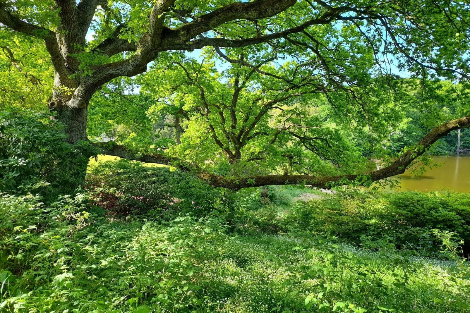 4 etoiles maison de vacances a Vedbæk