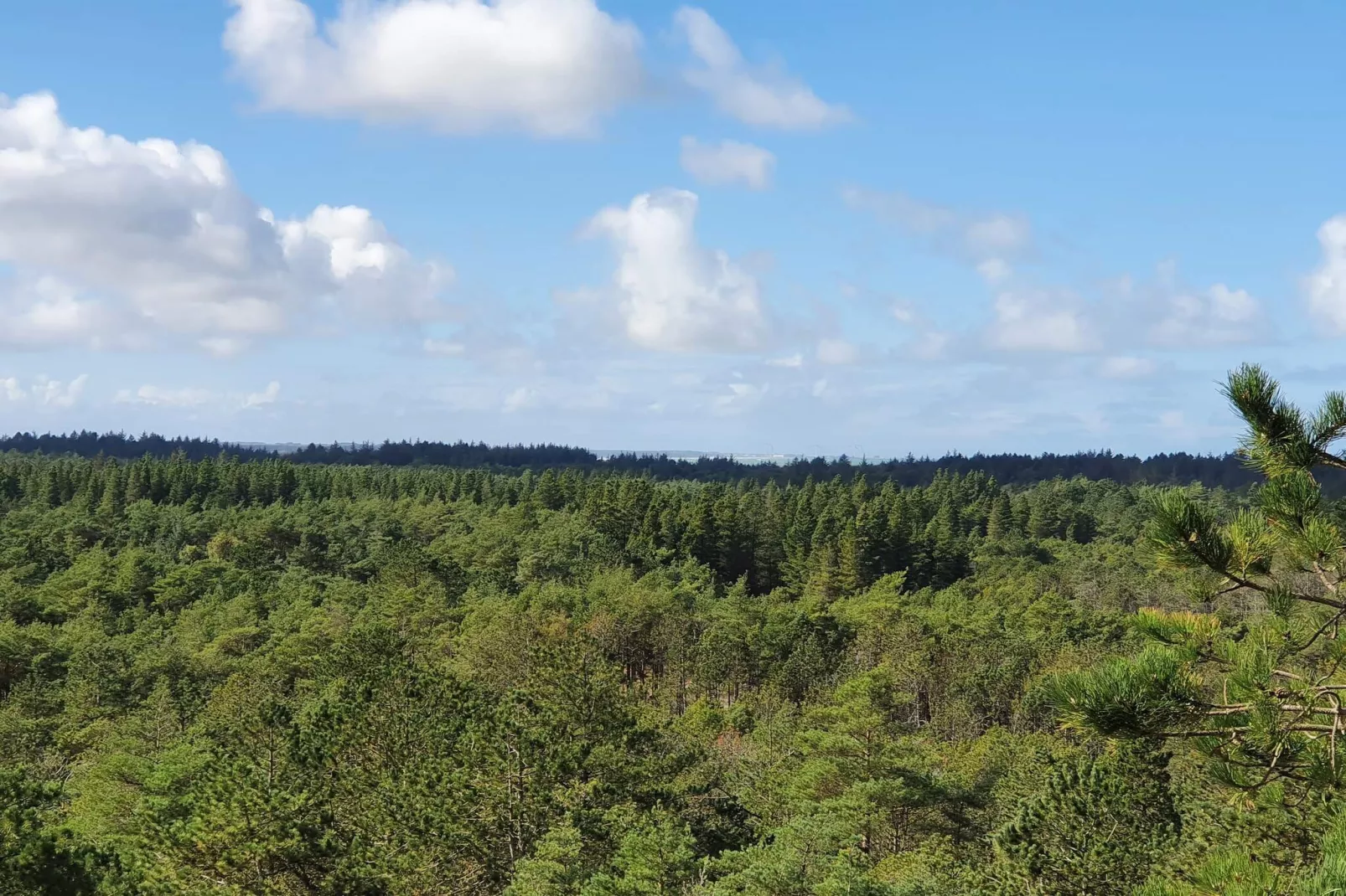 5 star holiday home in Løkken-Untagged