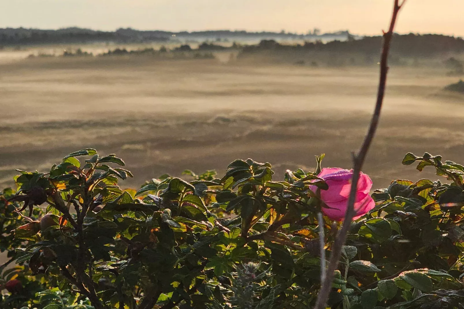 5 star holiday home in Henne Beach-Untagged