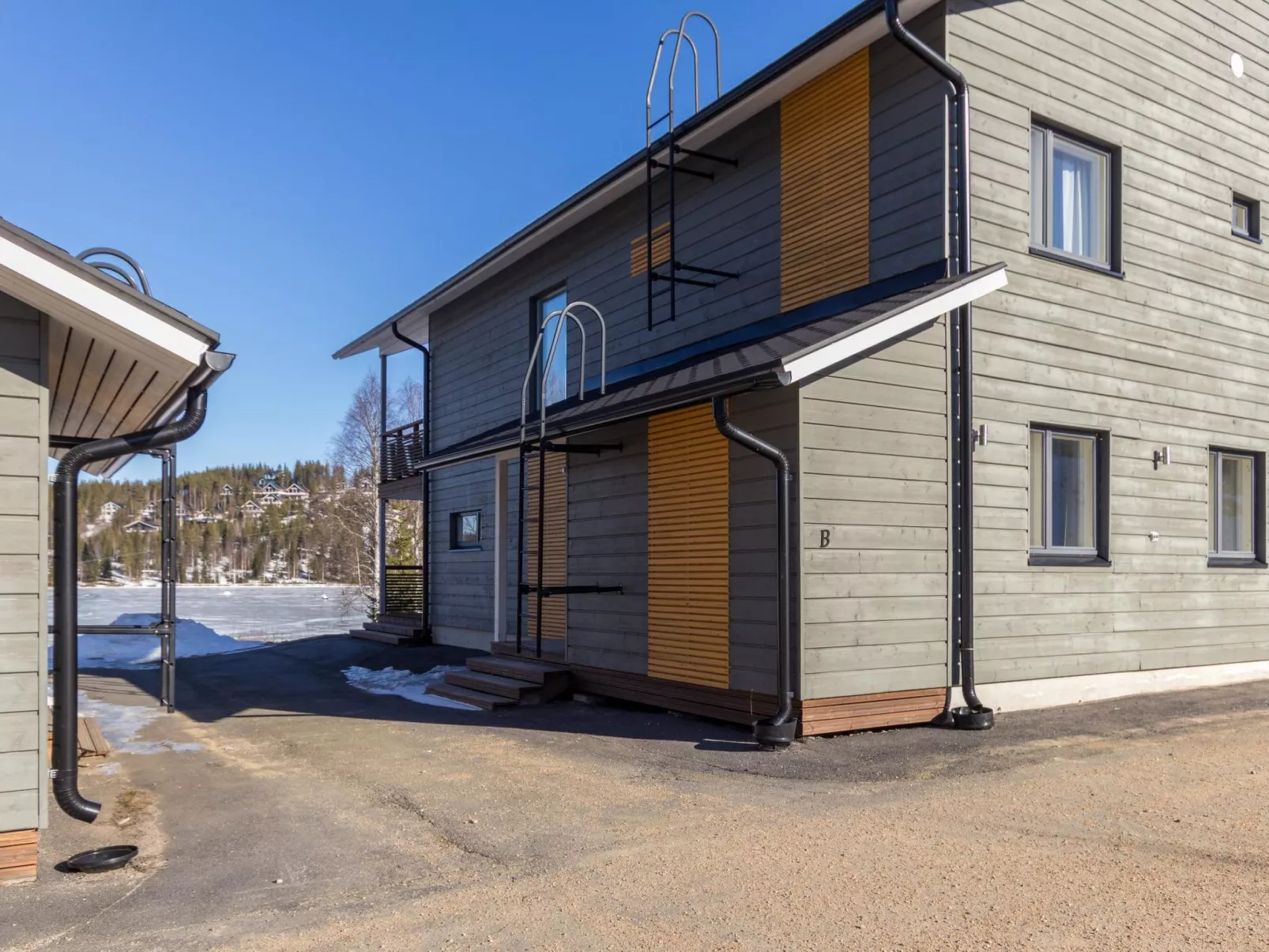 Hallan karhu b, paritalo