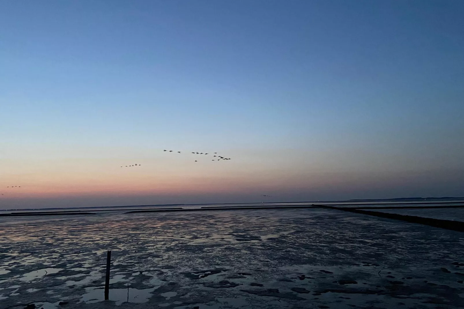 Ferienhaus Mühlenblick 07-Areas within 5km in summer