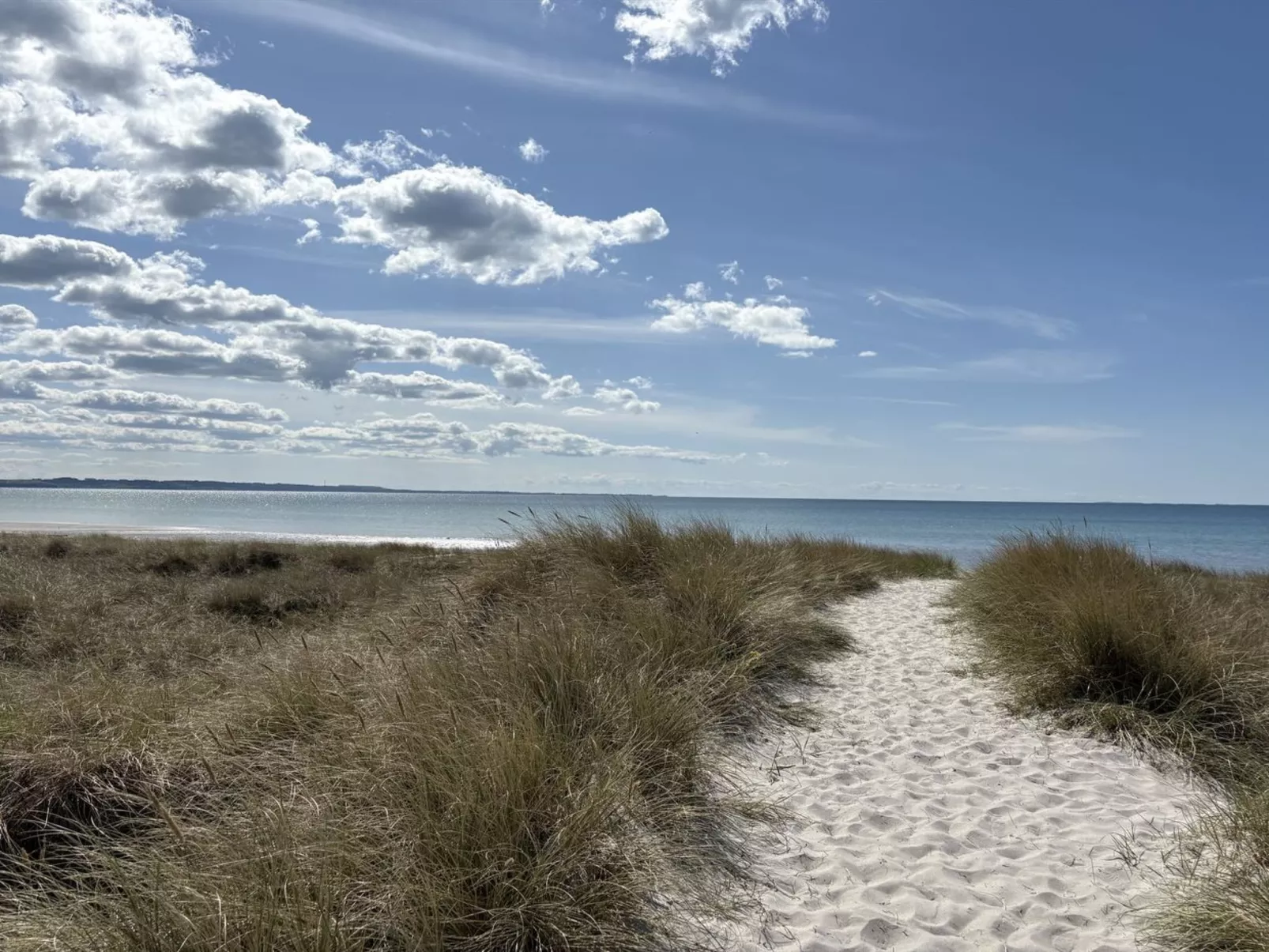 "Fridborg" - 425m from the sea-Dehors