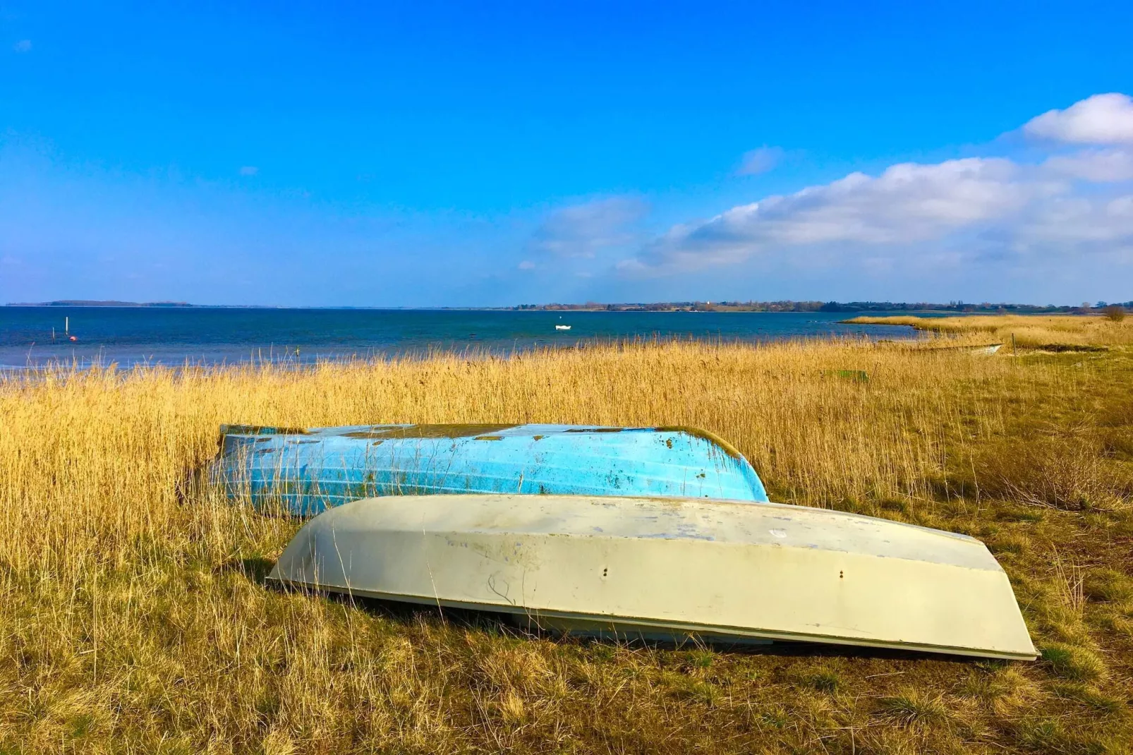 6 Personen Ferienhaus in Bogø By-Wasserblick