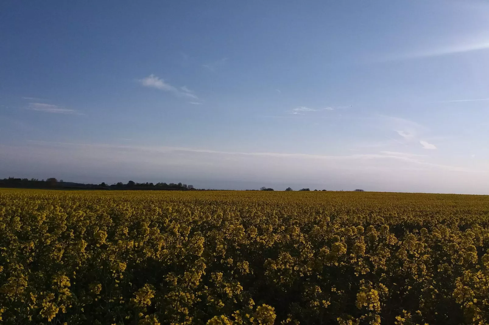 4 etoiles maison de vacances a Jægerspris-Non tagué