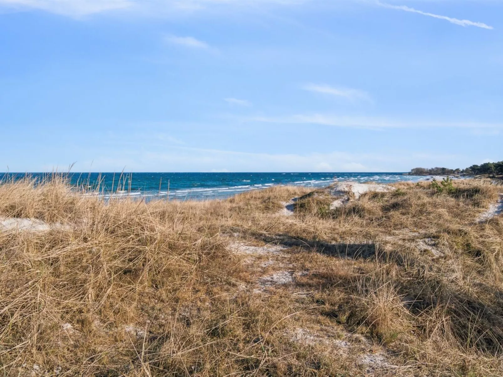 "Laurentius" - 50m from the sea