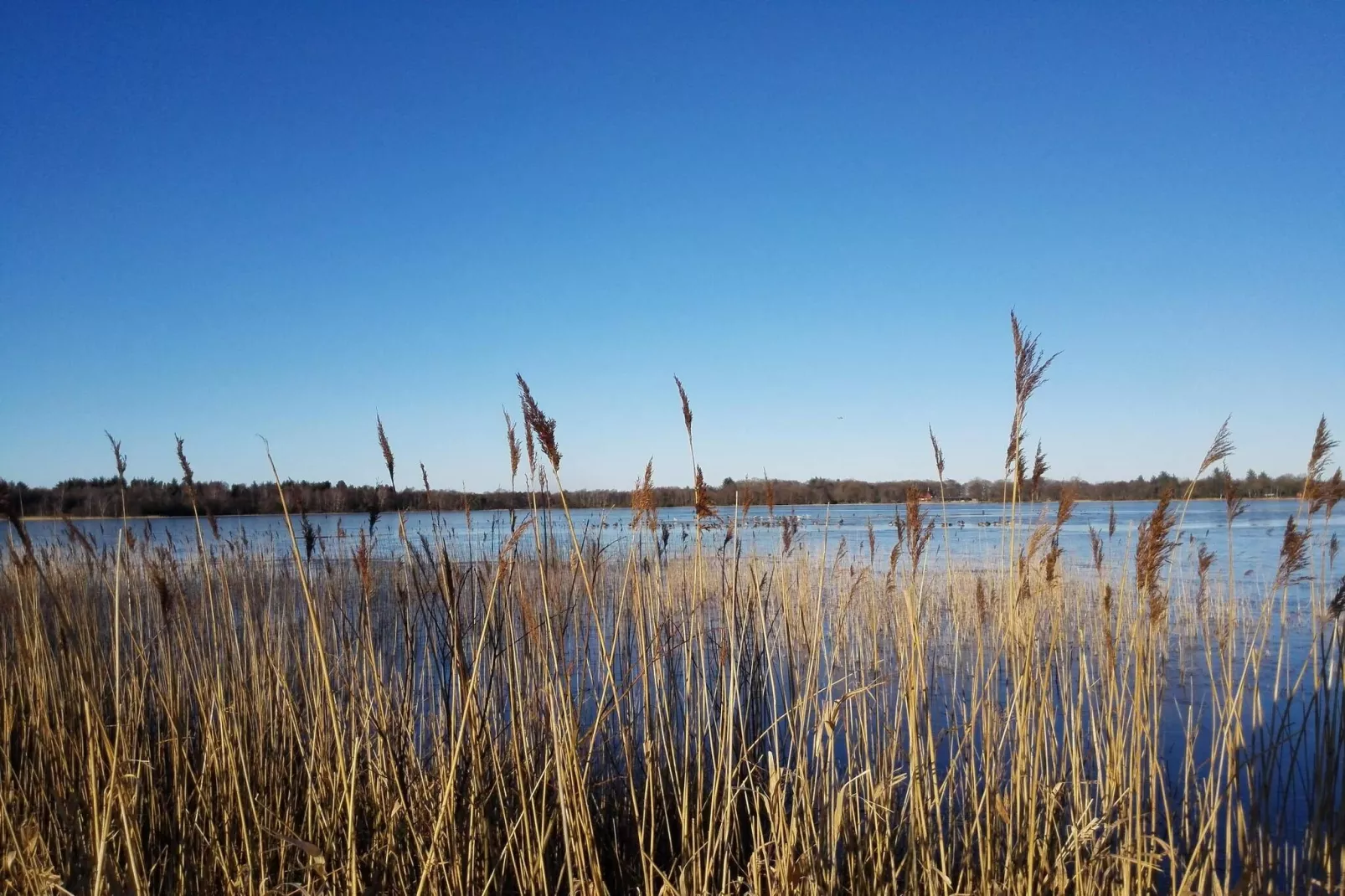 6 person holiday home in Ansager-Water view