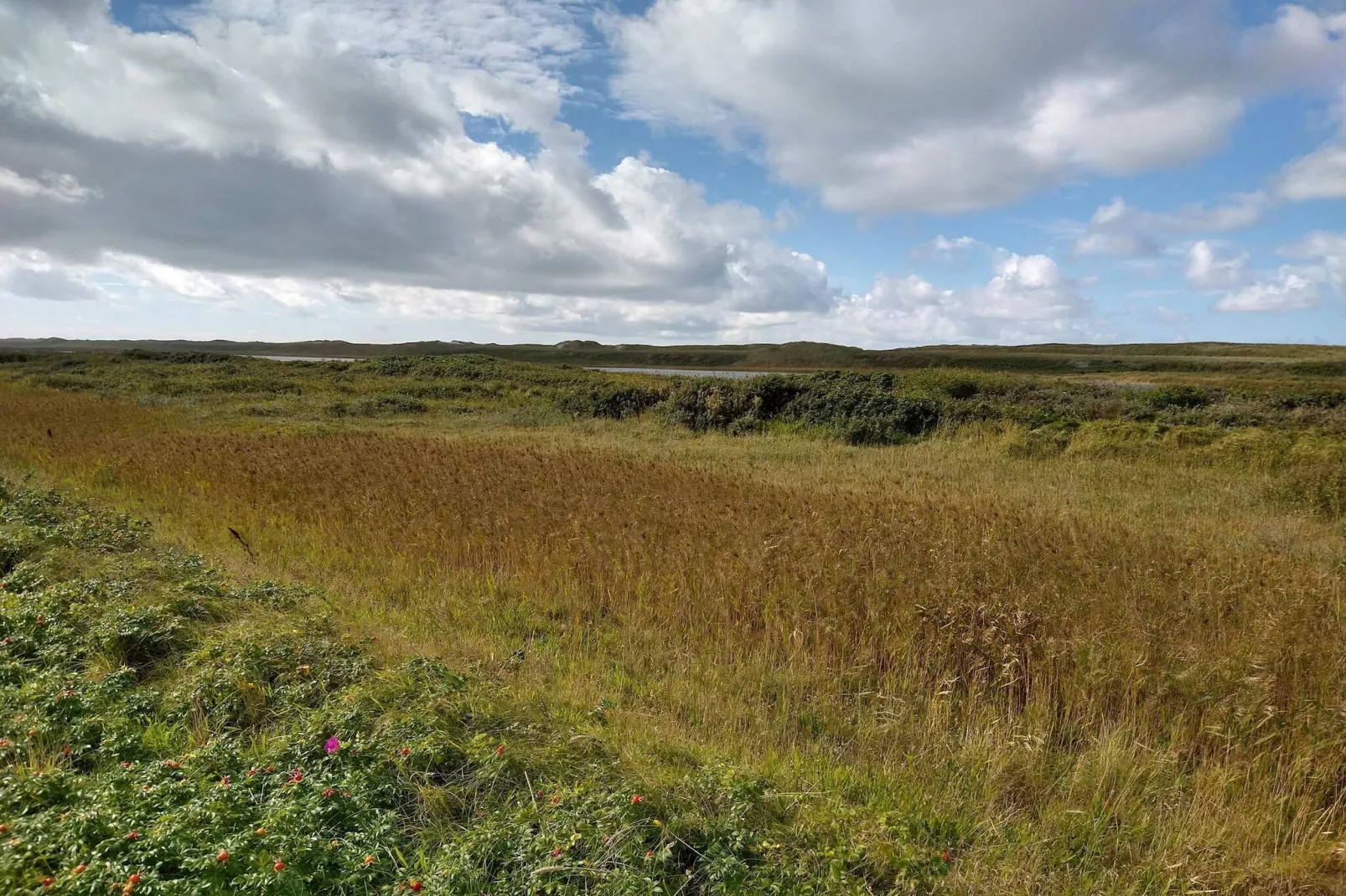 4 etoiles maison de vacances a Thyborøn - Non tagué