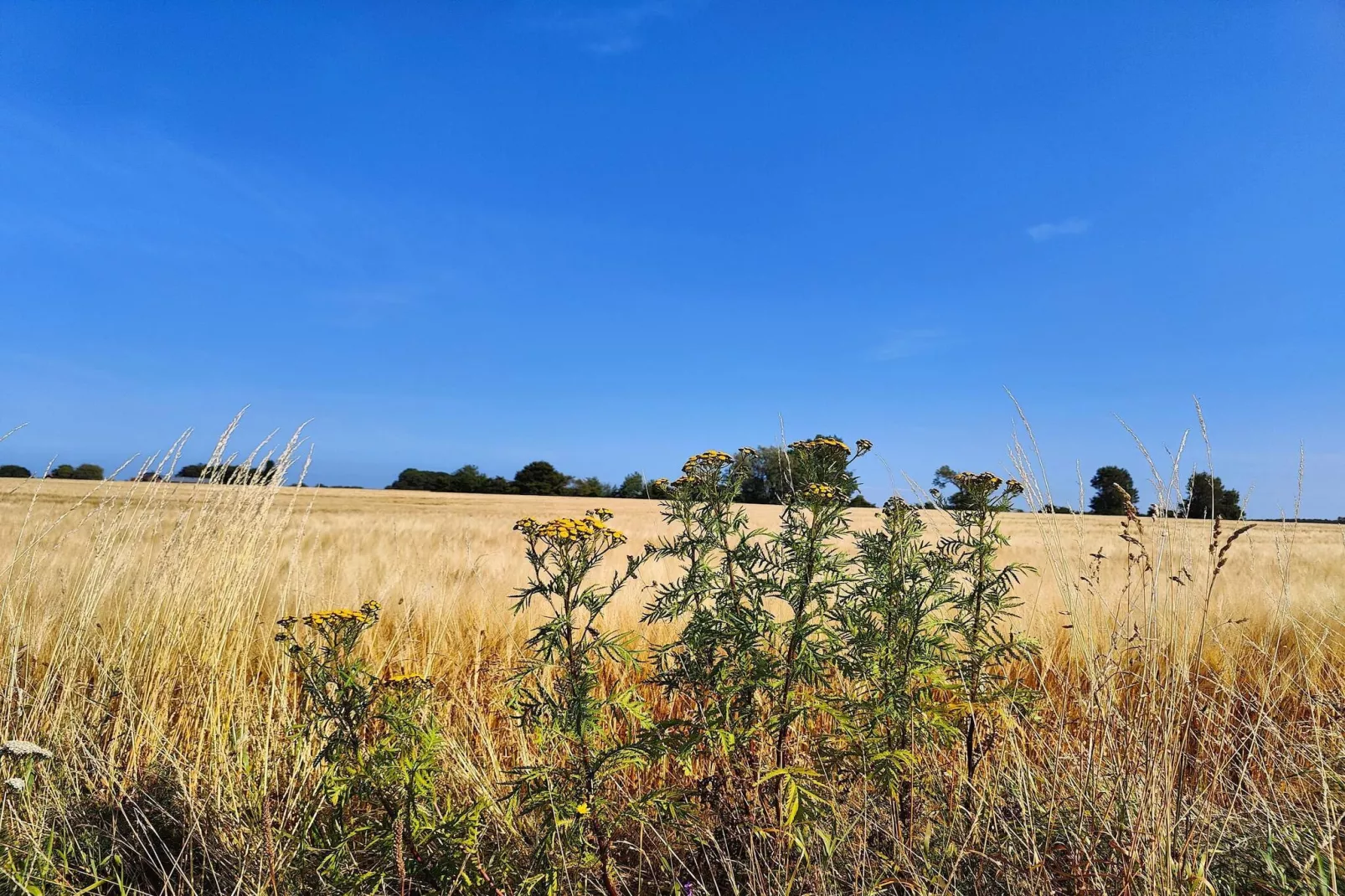 Maison de vacances pour 6 a Horslunde-Non tagué