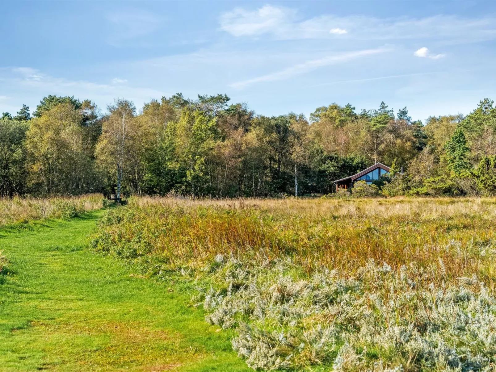 "Devis" -  from the sea