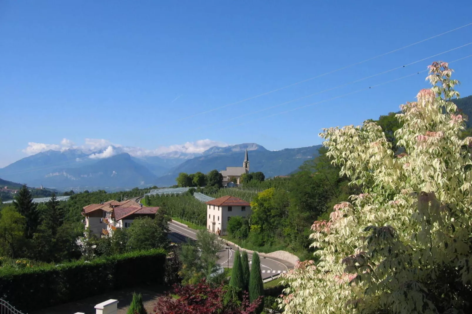 Pink Lady-Areas within 1km in summer