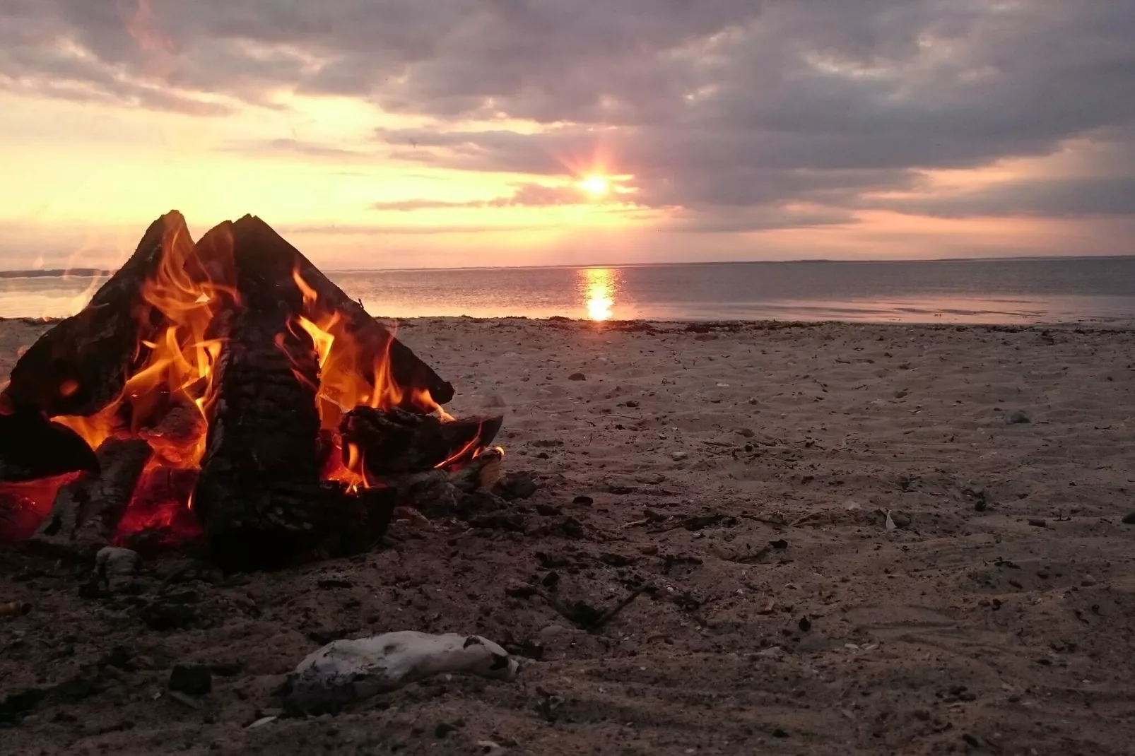 5 etoiles maison de vacances a Bogense-Non tagué