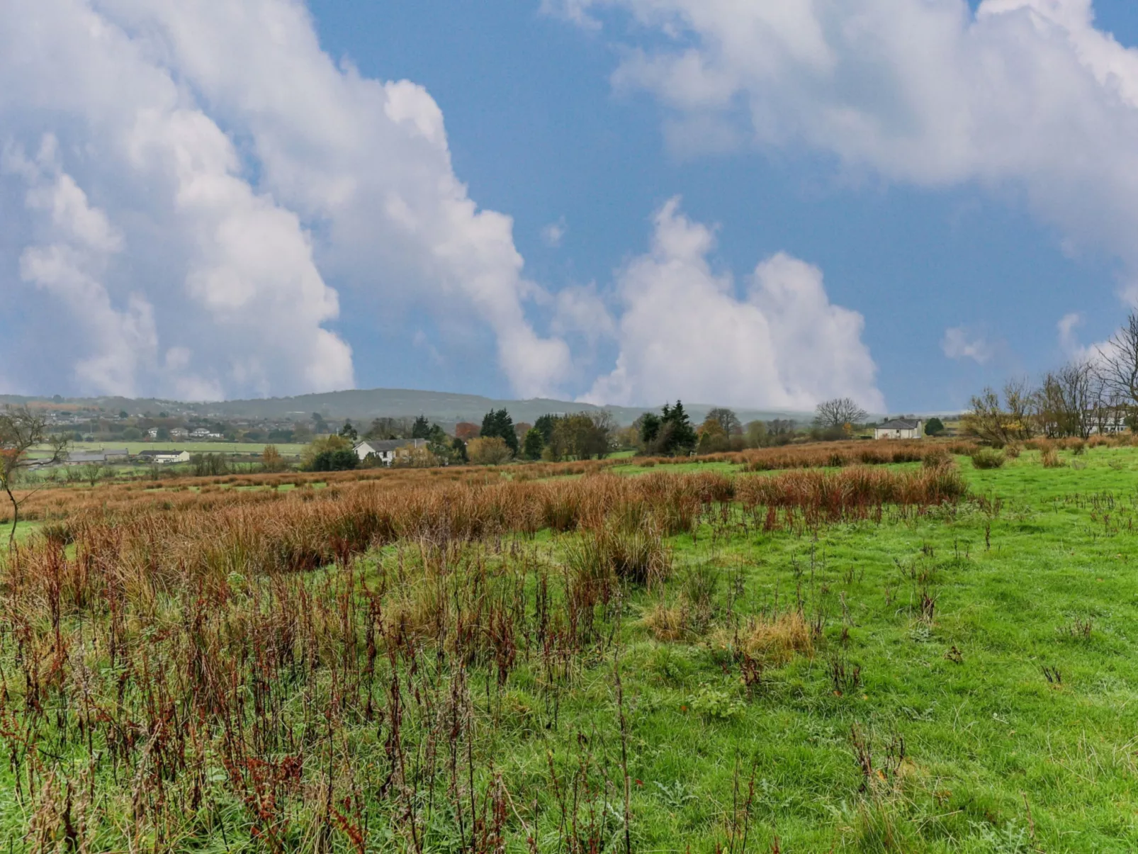 Middle Warble Stables