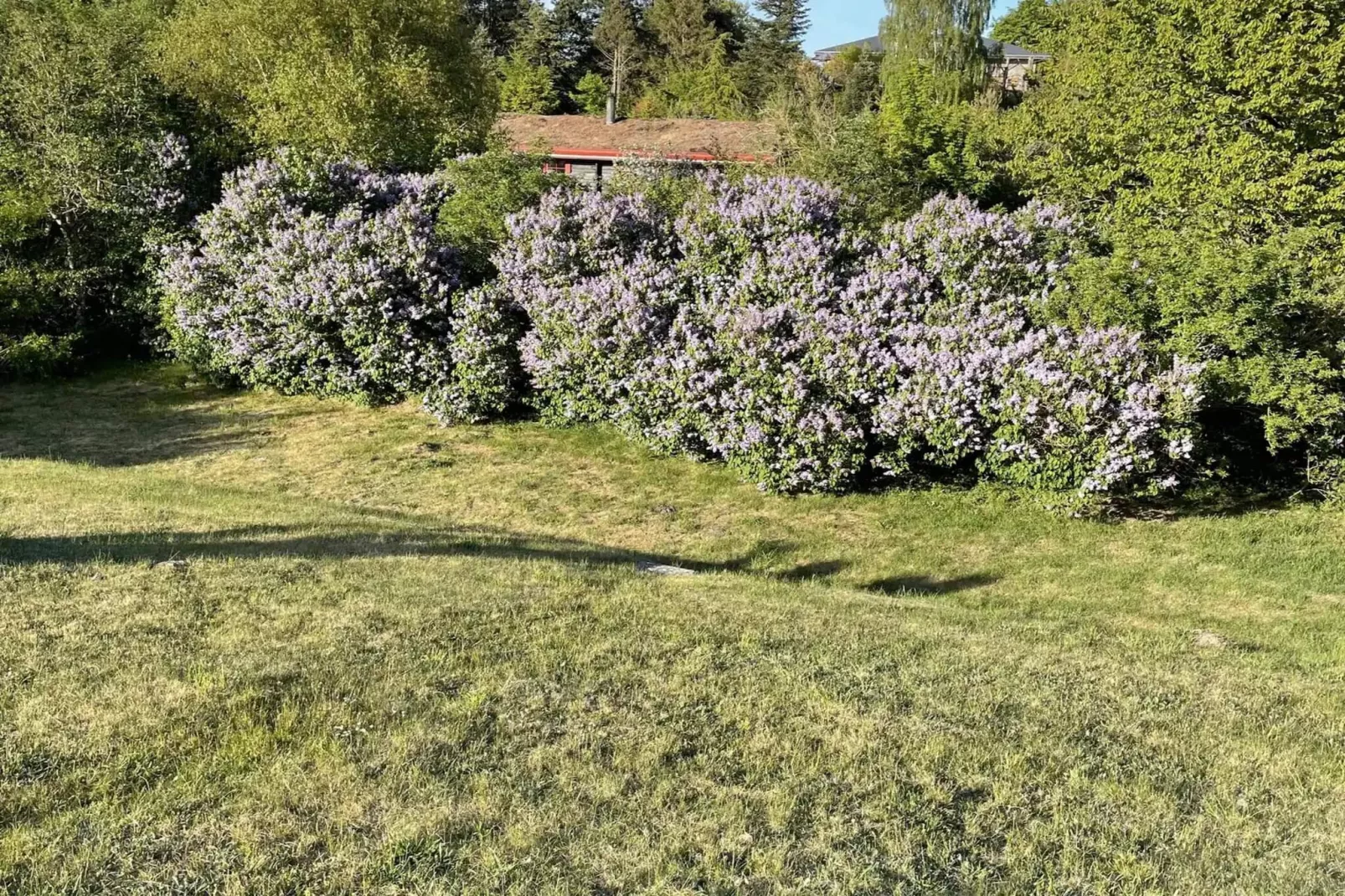 5 Sterne Ferienhaus in Ebeltoft