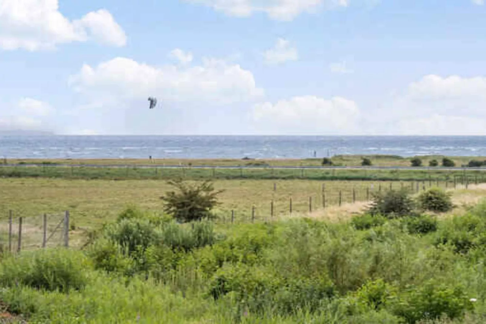 5 Sterne Ferienhaus in Vesløs