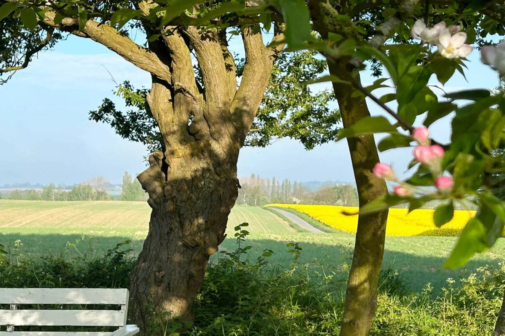 5 etoiles maison de vacances a Borre