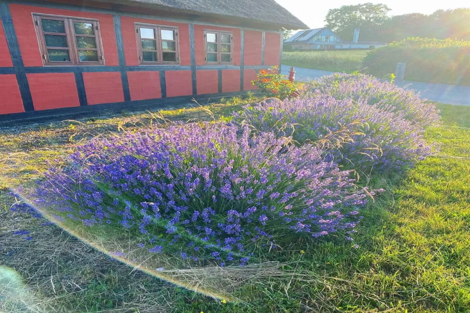 5 Sterne Ferienhaus in Frørup