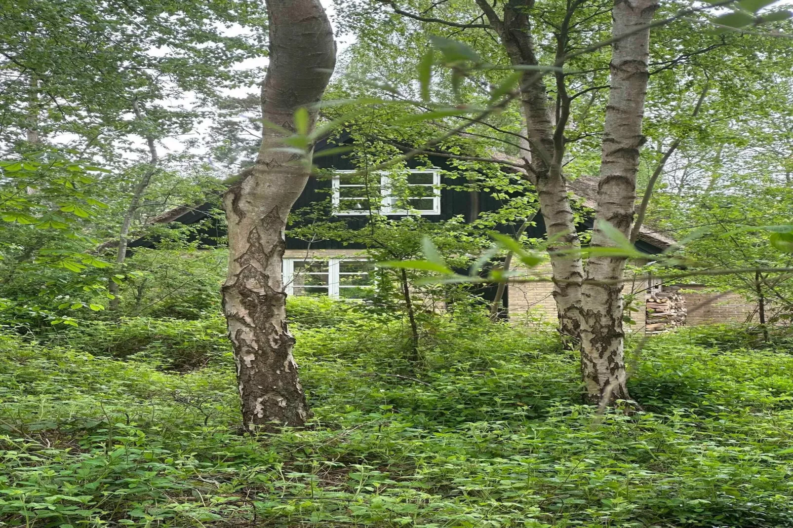 5 star holiday home in Knebel