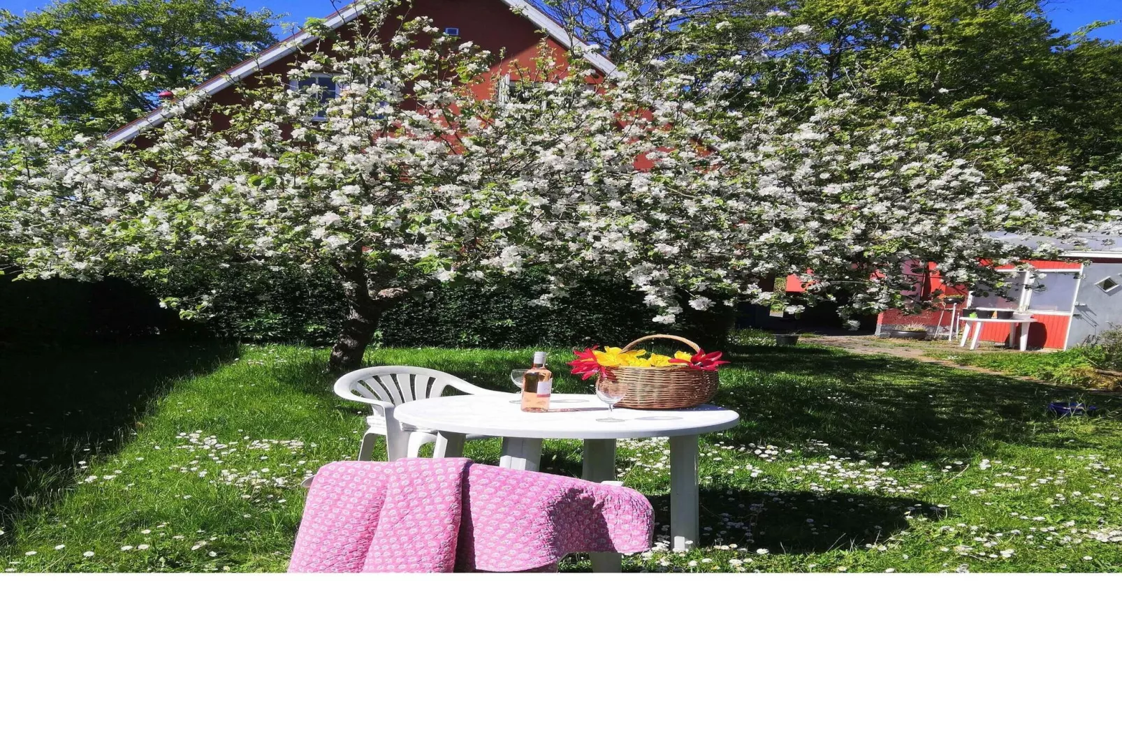 5 star holiday home in Svaneke