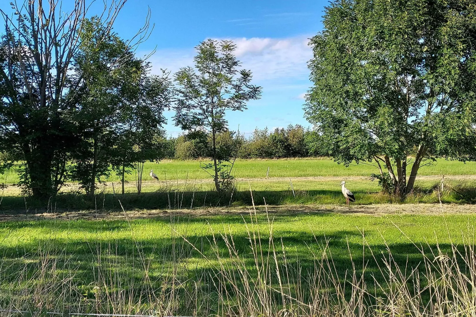 4 Sterne Ferienhaus in Tønder