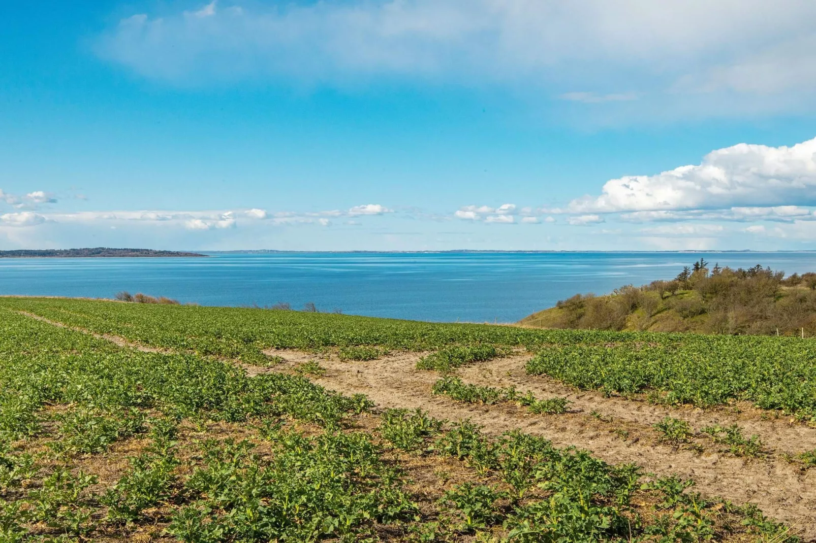 4 etoiles maison de vacances a Ranum