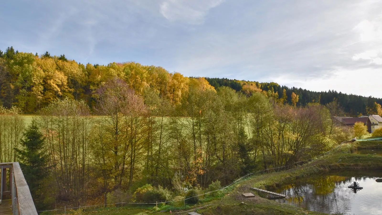 Weiherblasch II-View in summer