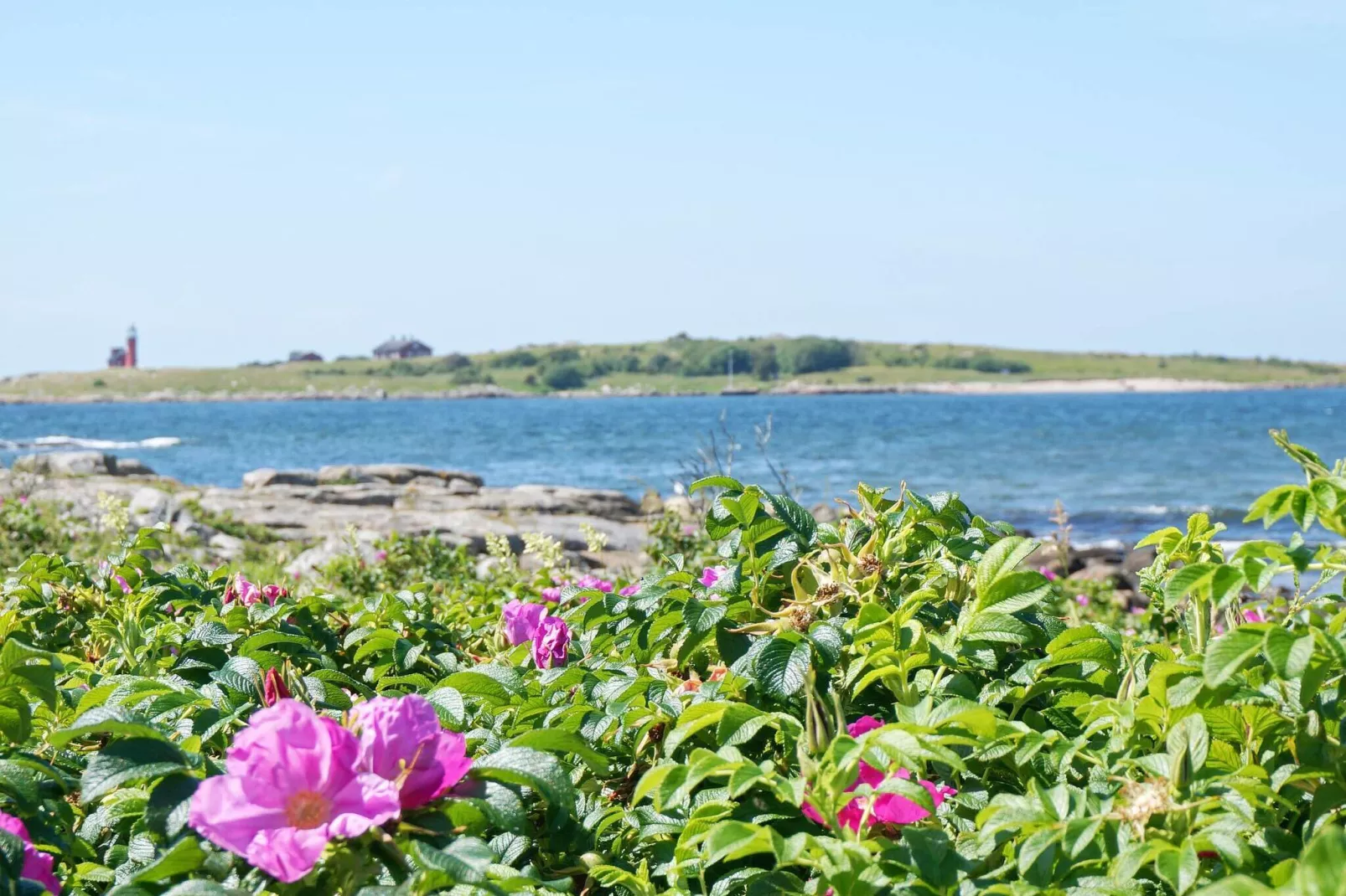 Maison de vacances pour 4 a Halmstad-By Traum-Non étiqueté