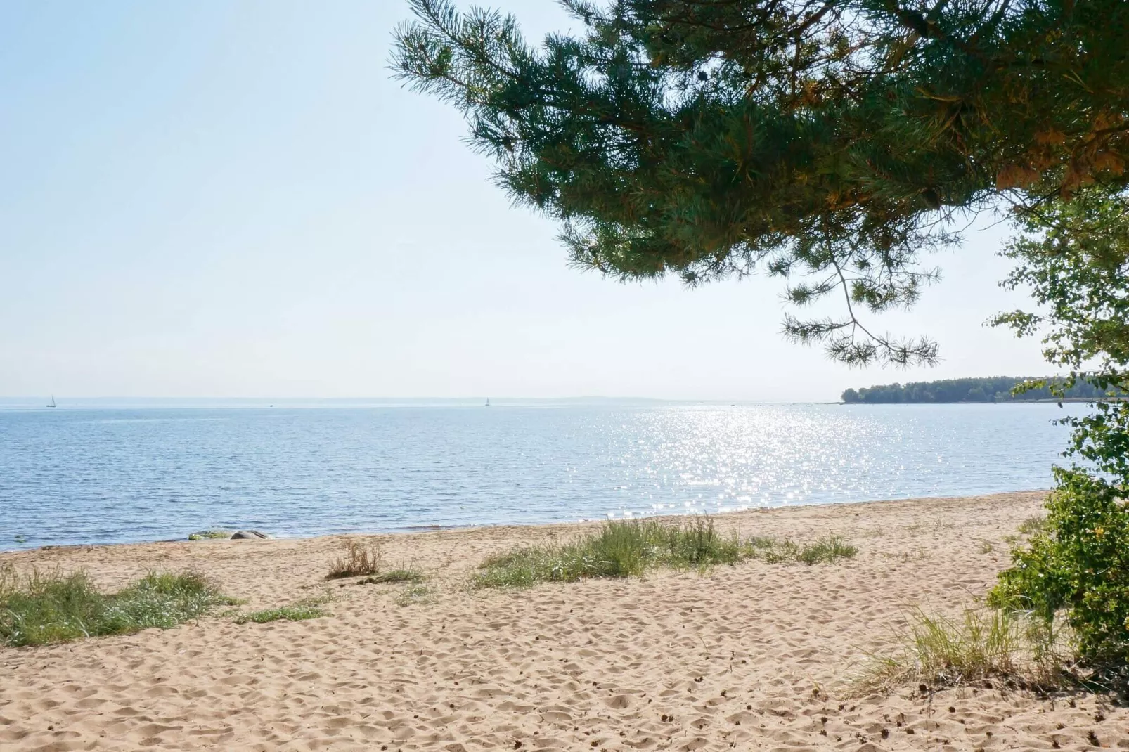 Maison de vacances pour 4 a Halmstad-By Traum-Non étiqueté
