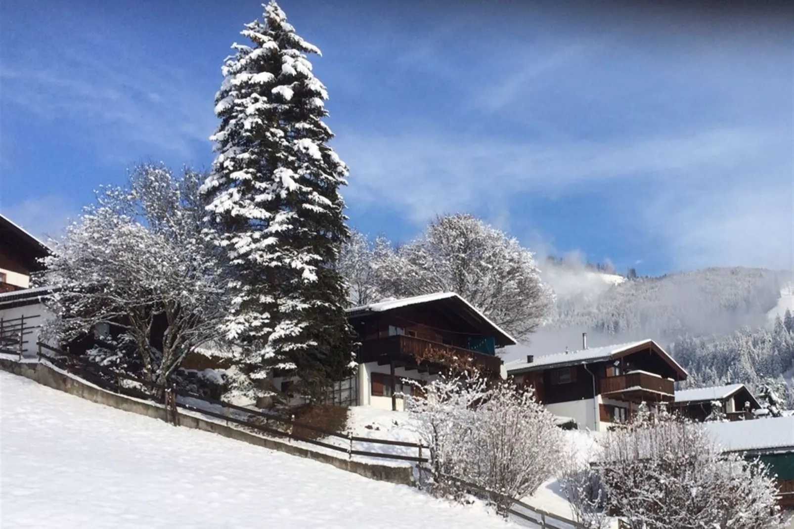 Chalet Anna-Exterior in winter