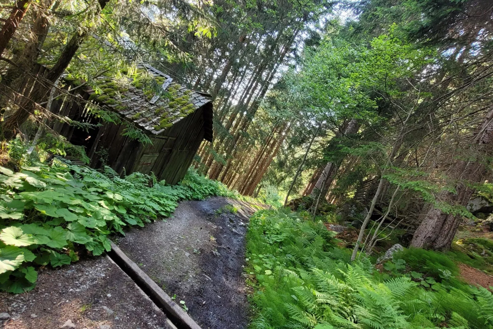 Apart Söllberg-Areas summer 5km