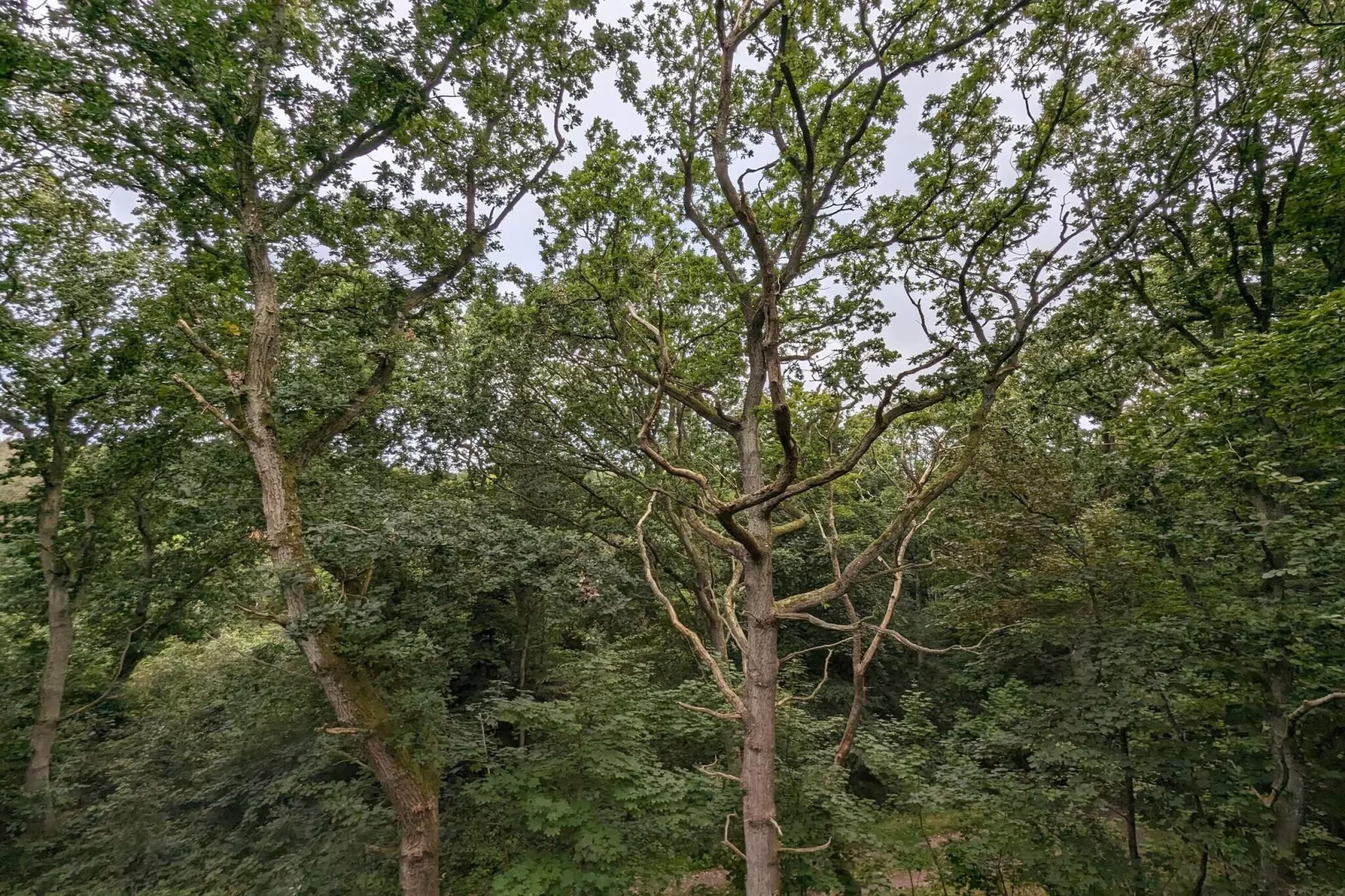 6 Personen Ferienhaus in Hadsund