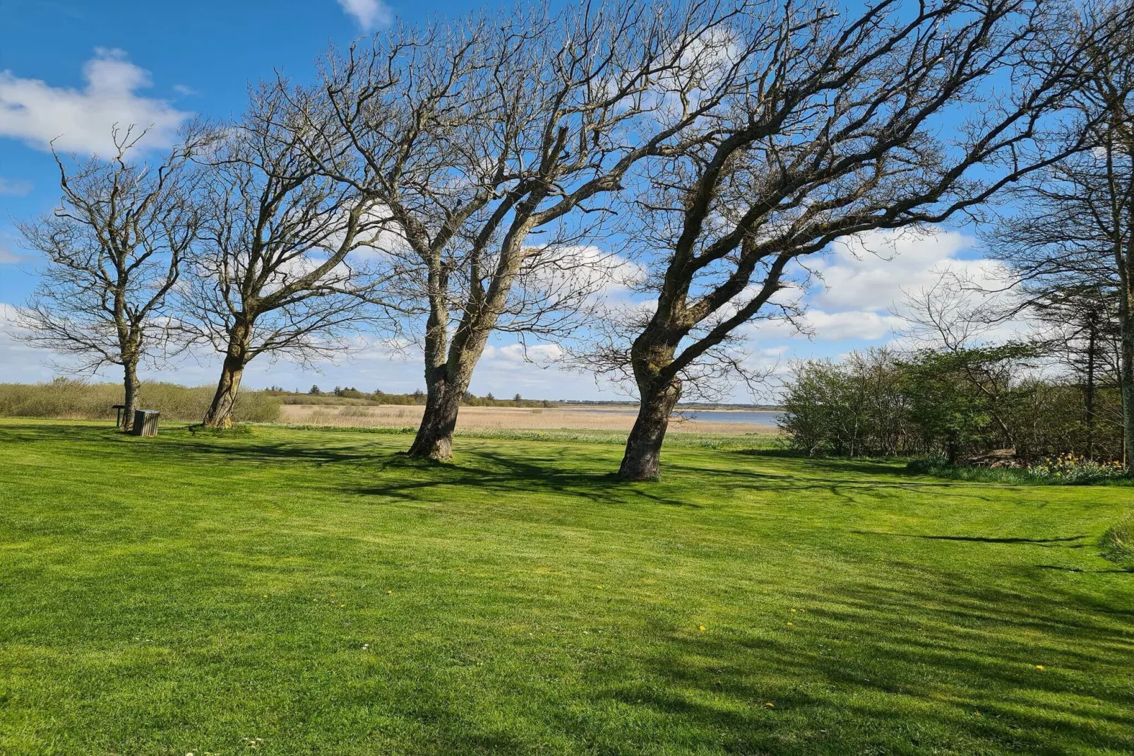 6 person holiday home in Ulfborg-Untagged