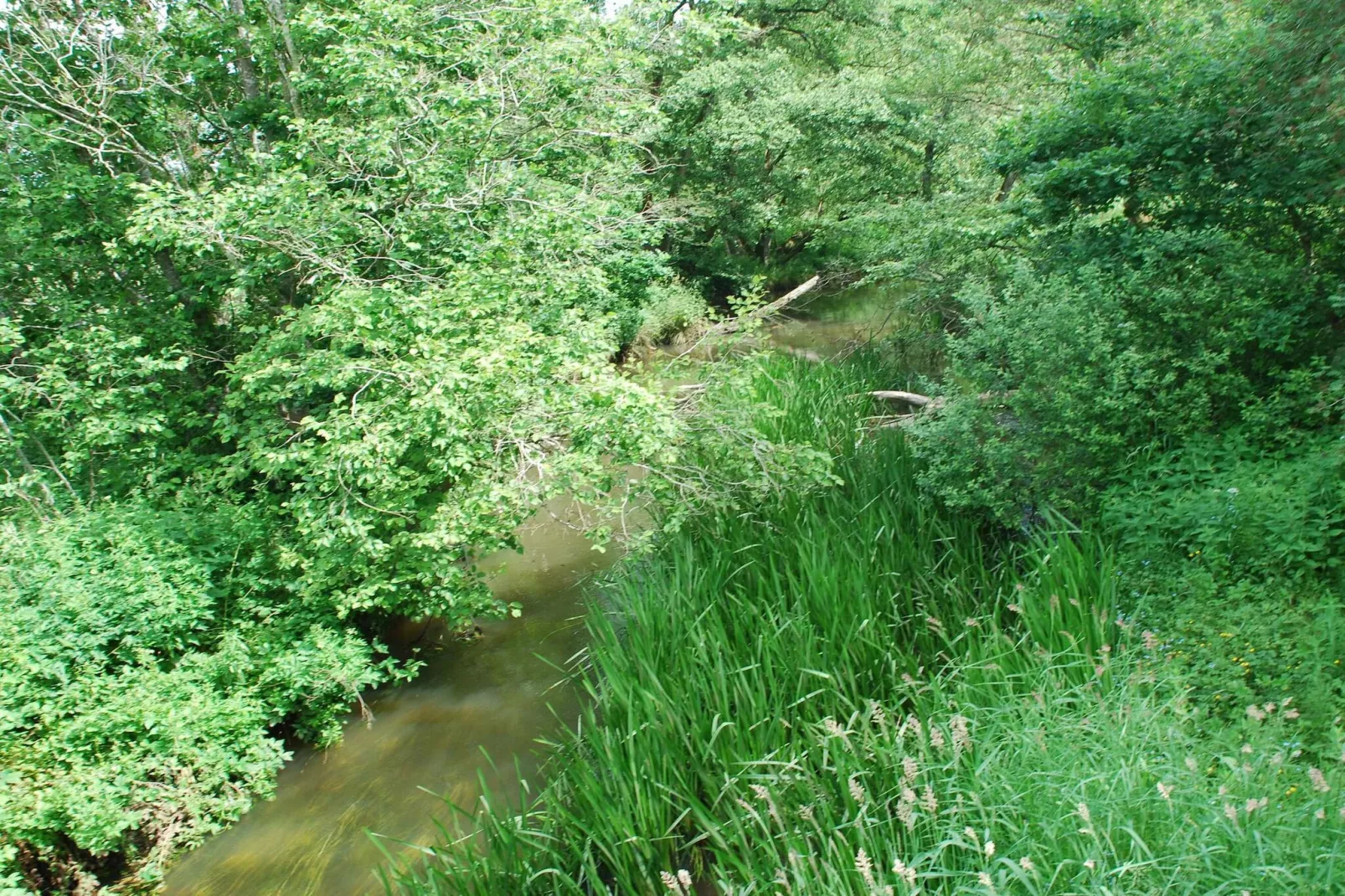 8 person holiday home in Gjern-Untagged