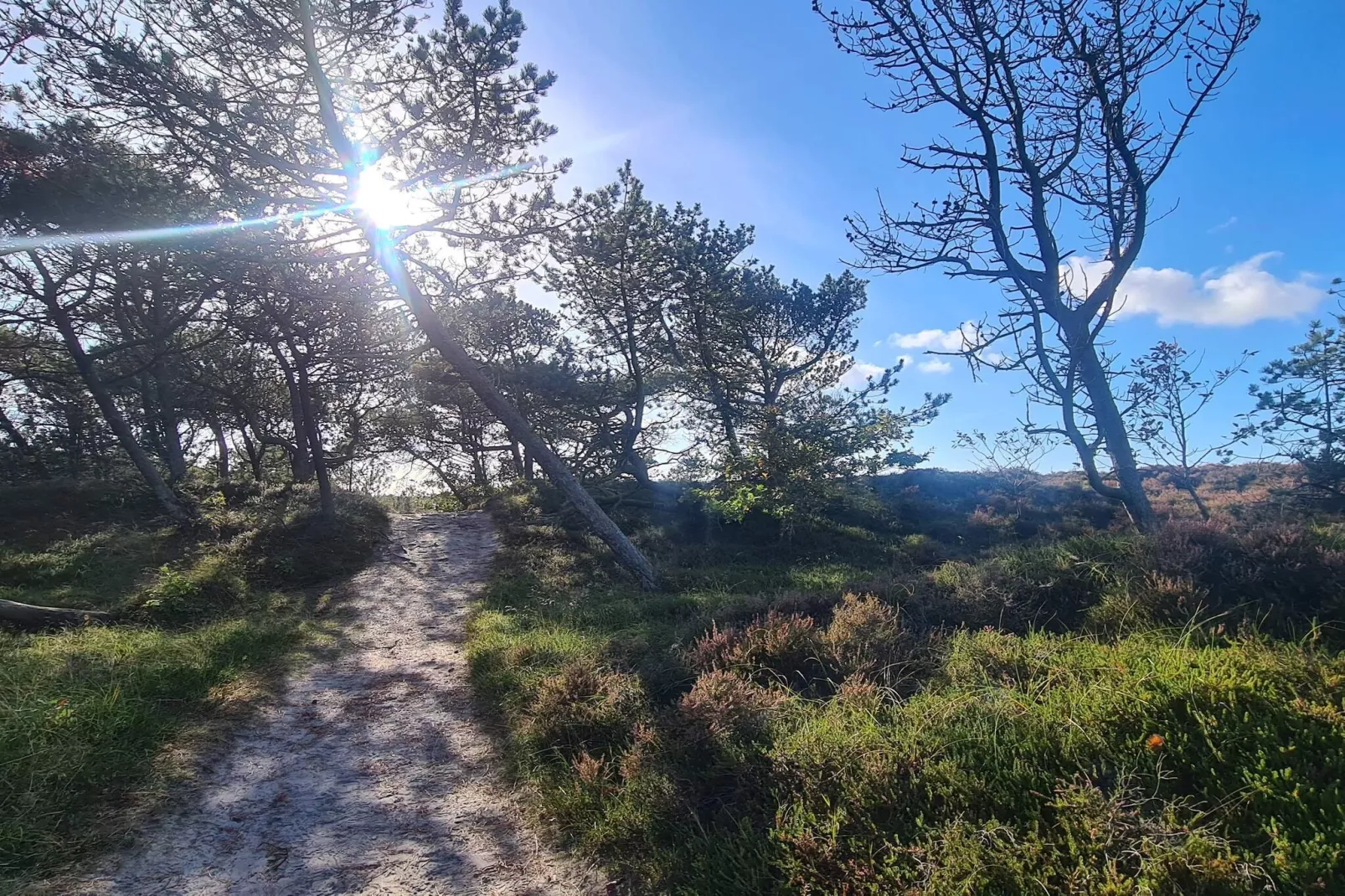 Tranquil Thatched Cottage on Romo-By Traum-Untagged