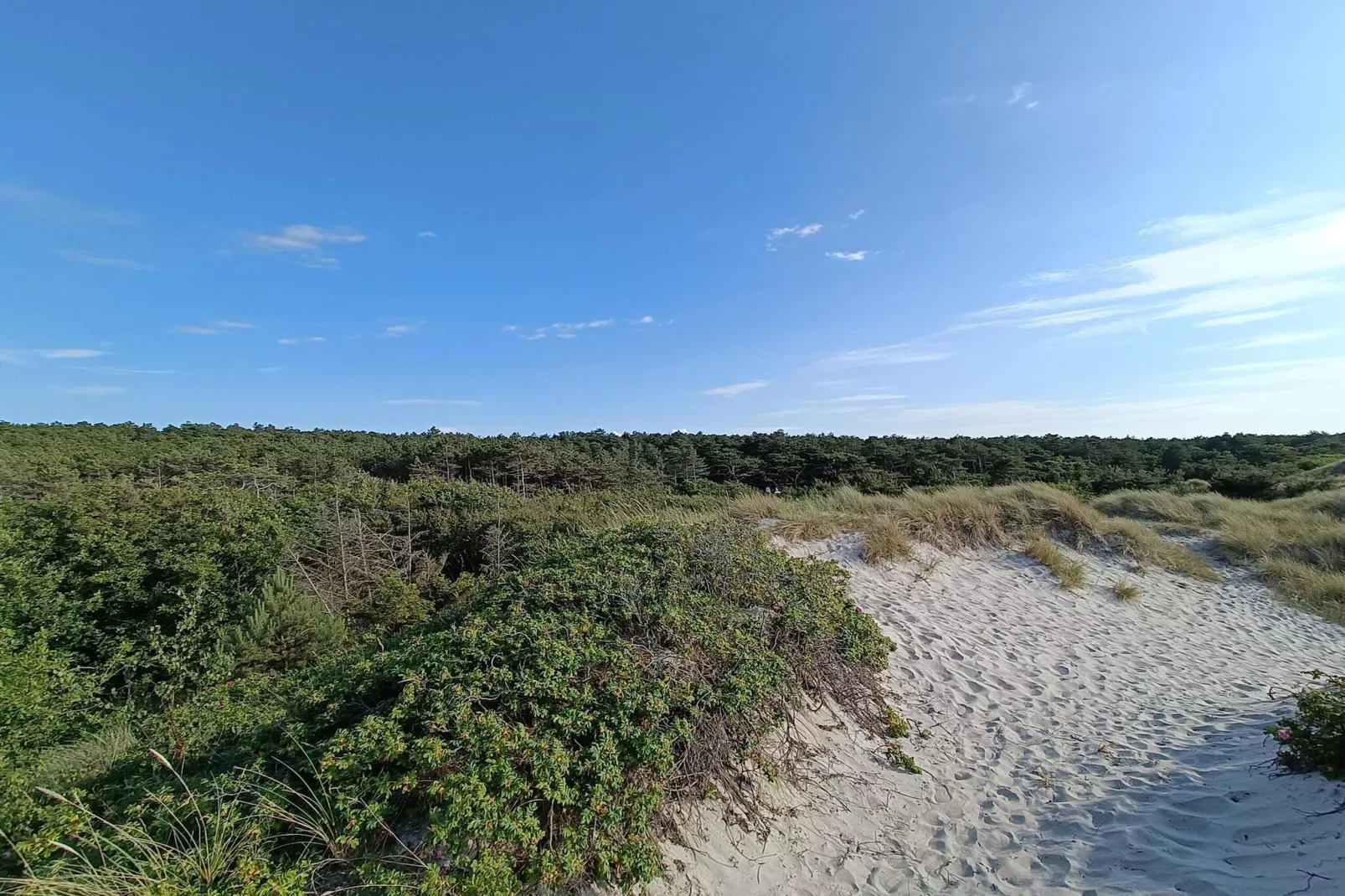 Retraite confortable a Rorvig Haven-By Traum-Non tagué