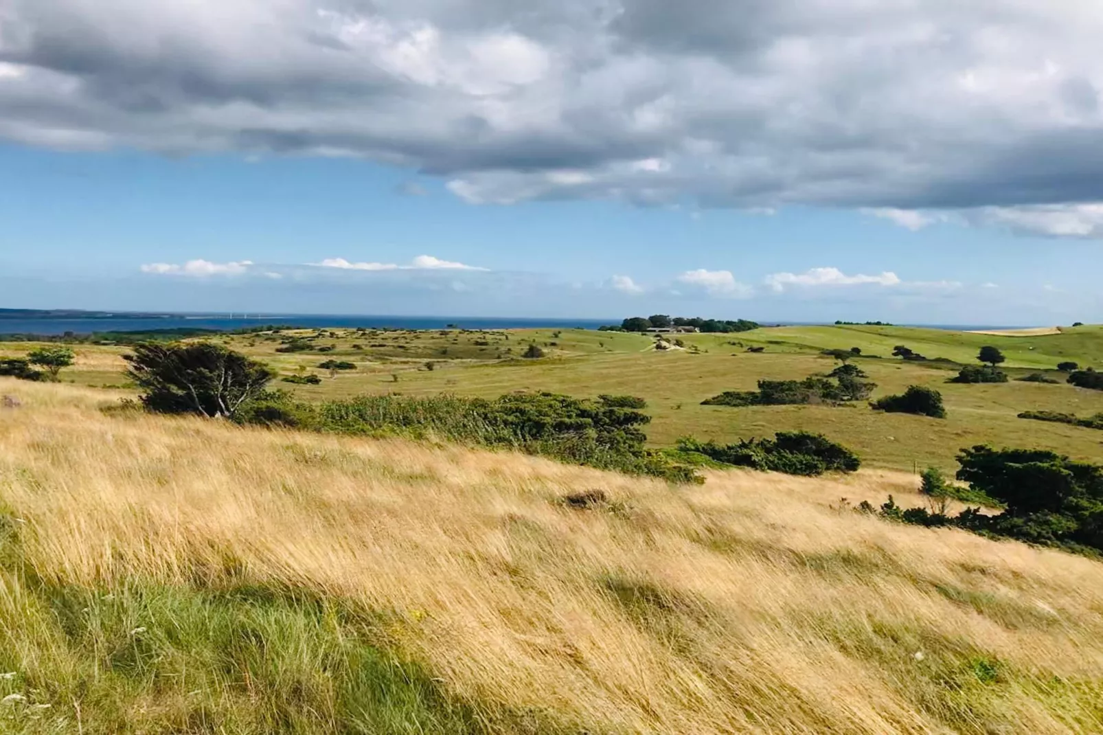 8 person holiday home in Knebel-Untagged