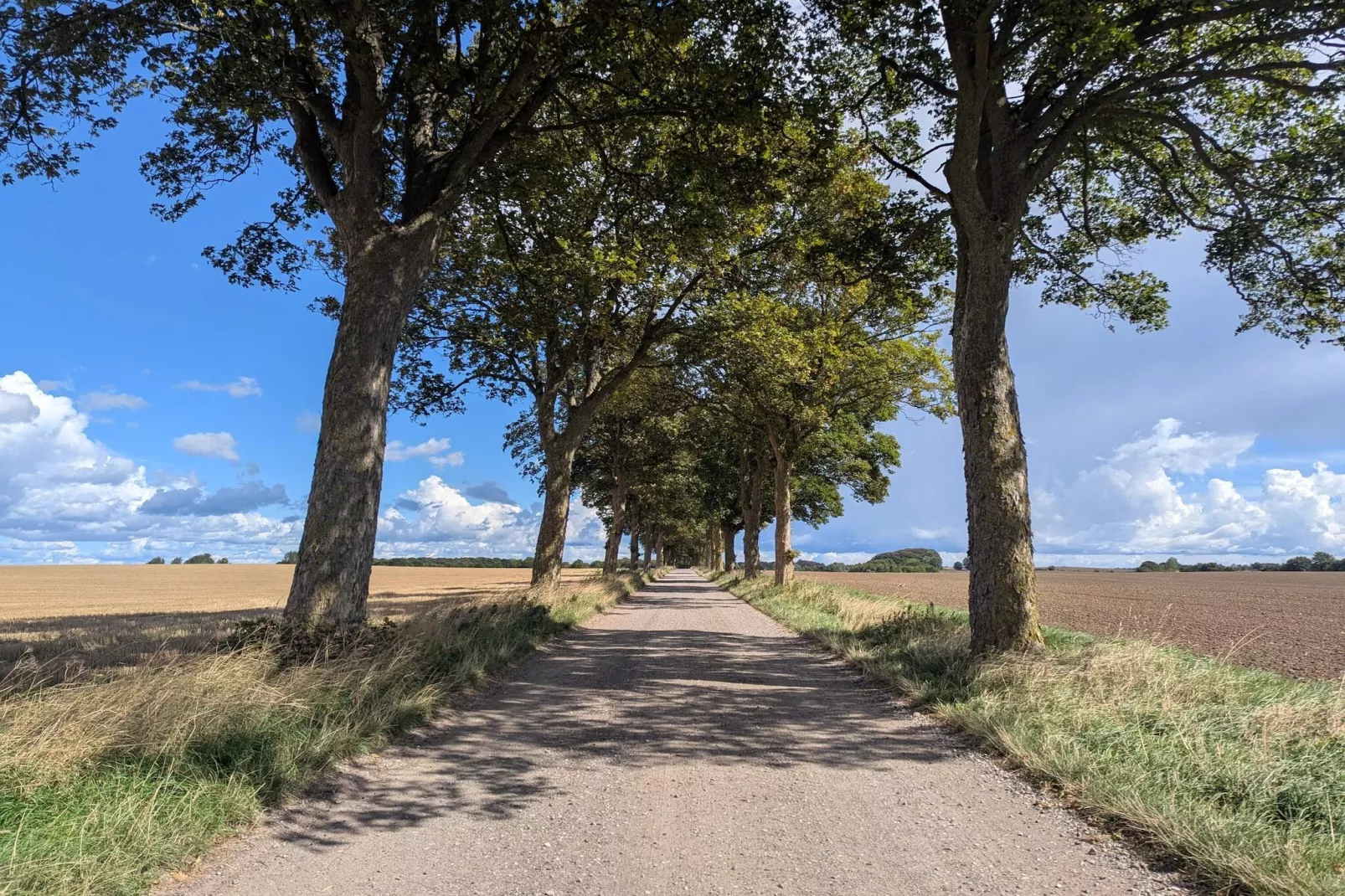 Charme cotier a Boged-By Traum-Non tagué