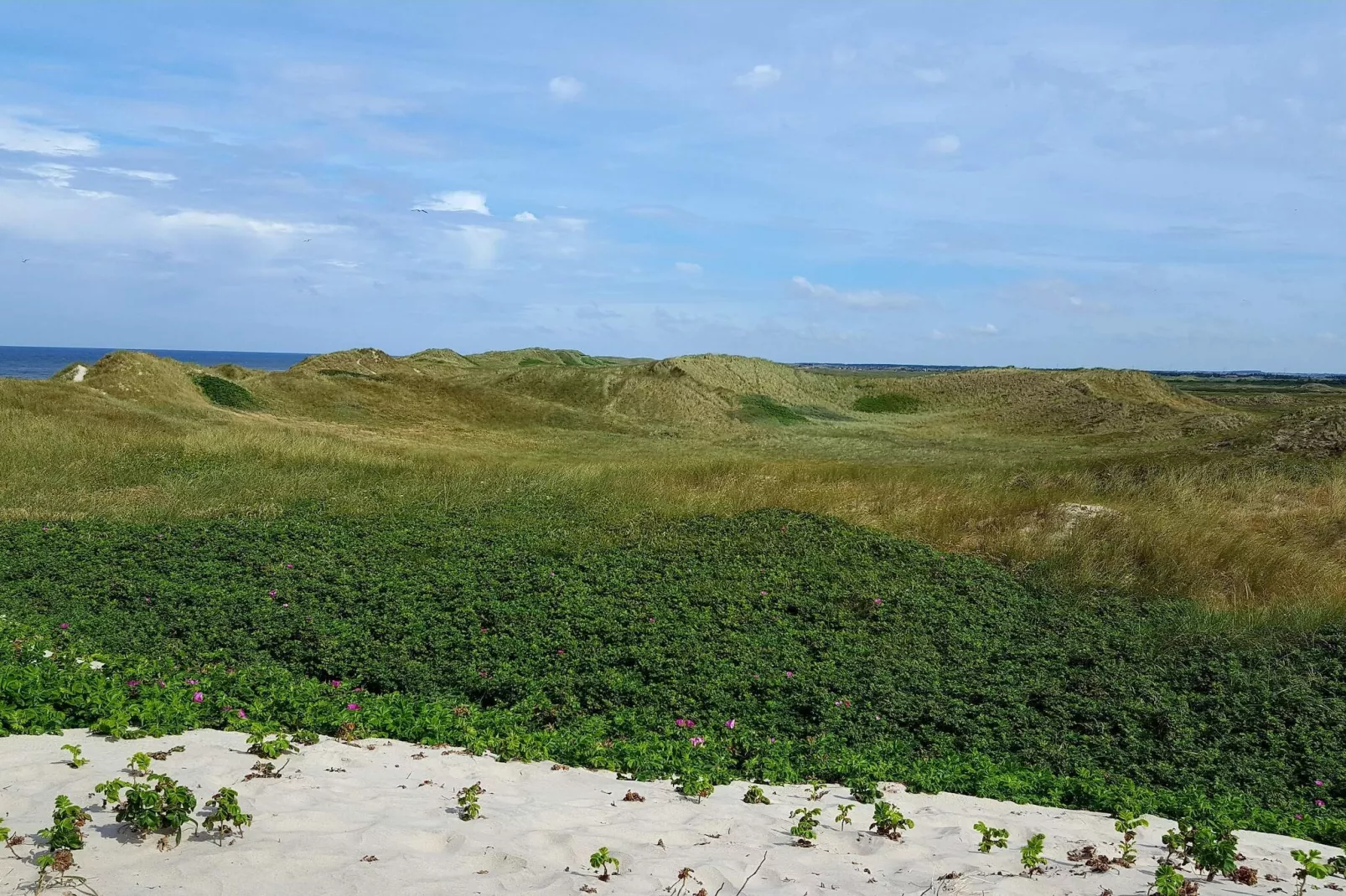 8 person holiday home in Ringkøbing-Untagged