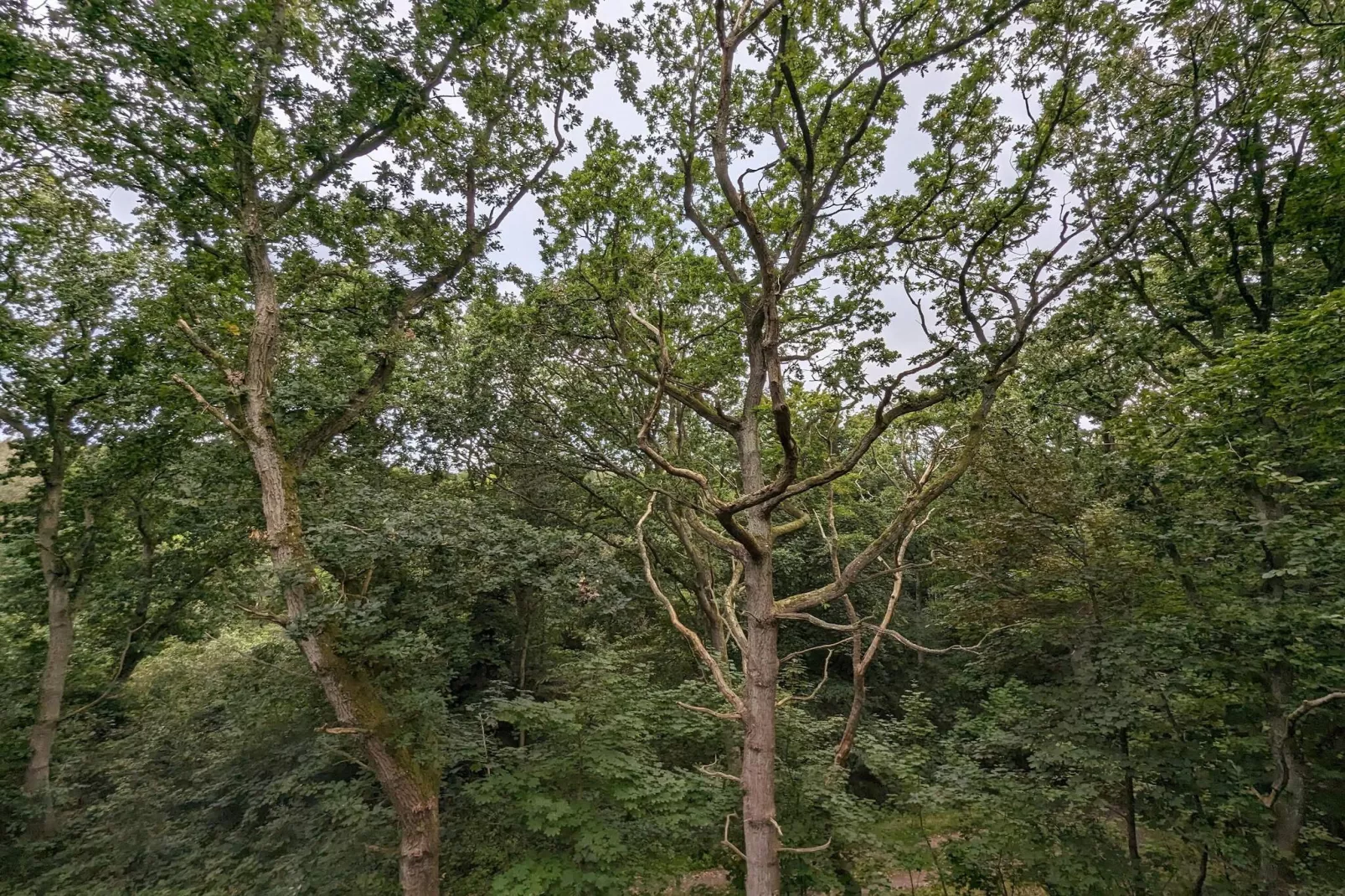 Luxury Retreat in oster Hurup-By Traum-Untagged