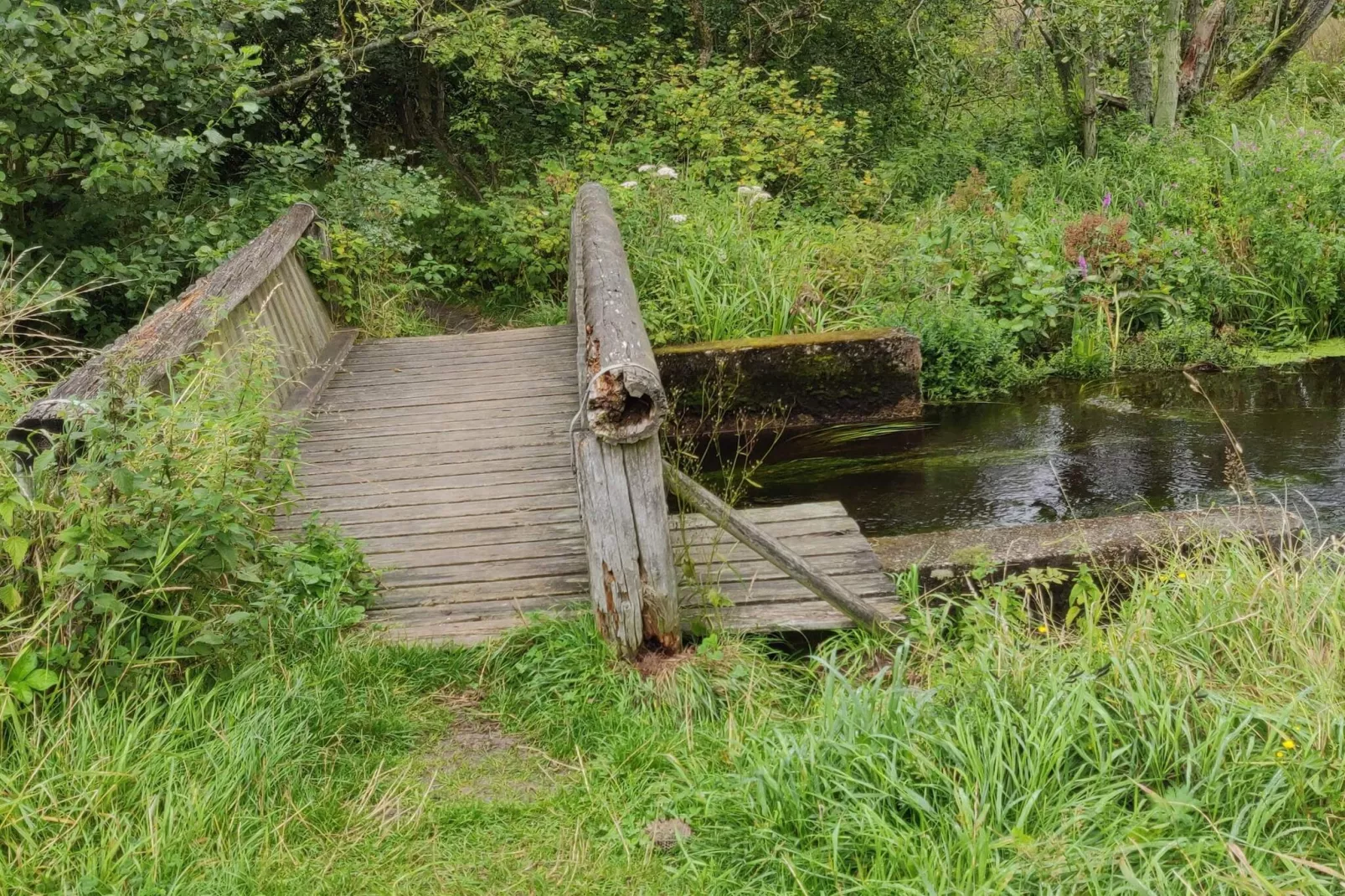 7 person holiday home in Frederikshavn-Untagged