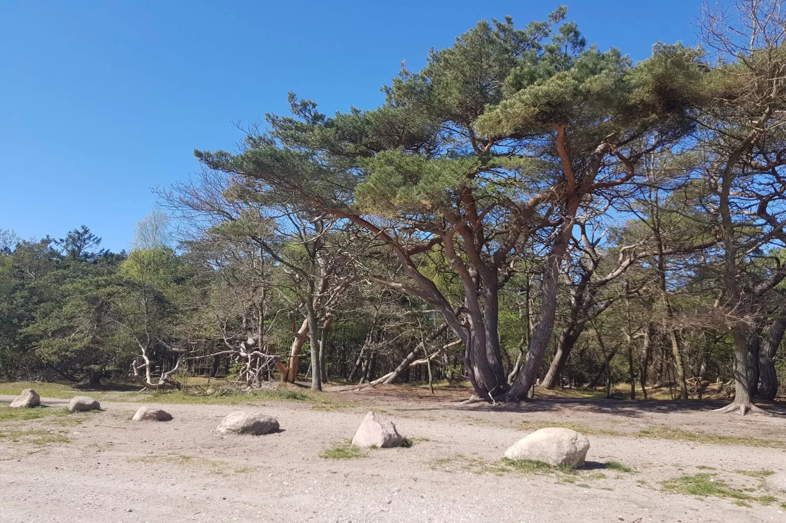 Maison de vacances pour 24 a Frederiksværk-Non tagué
