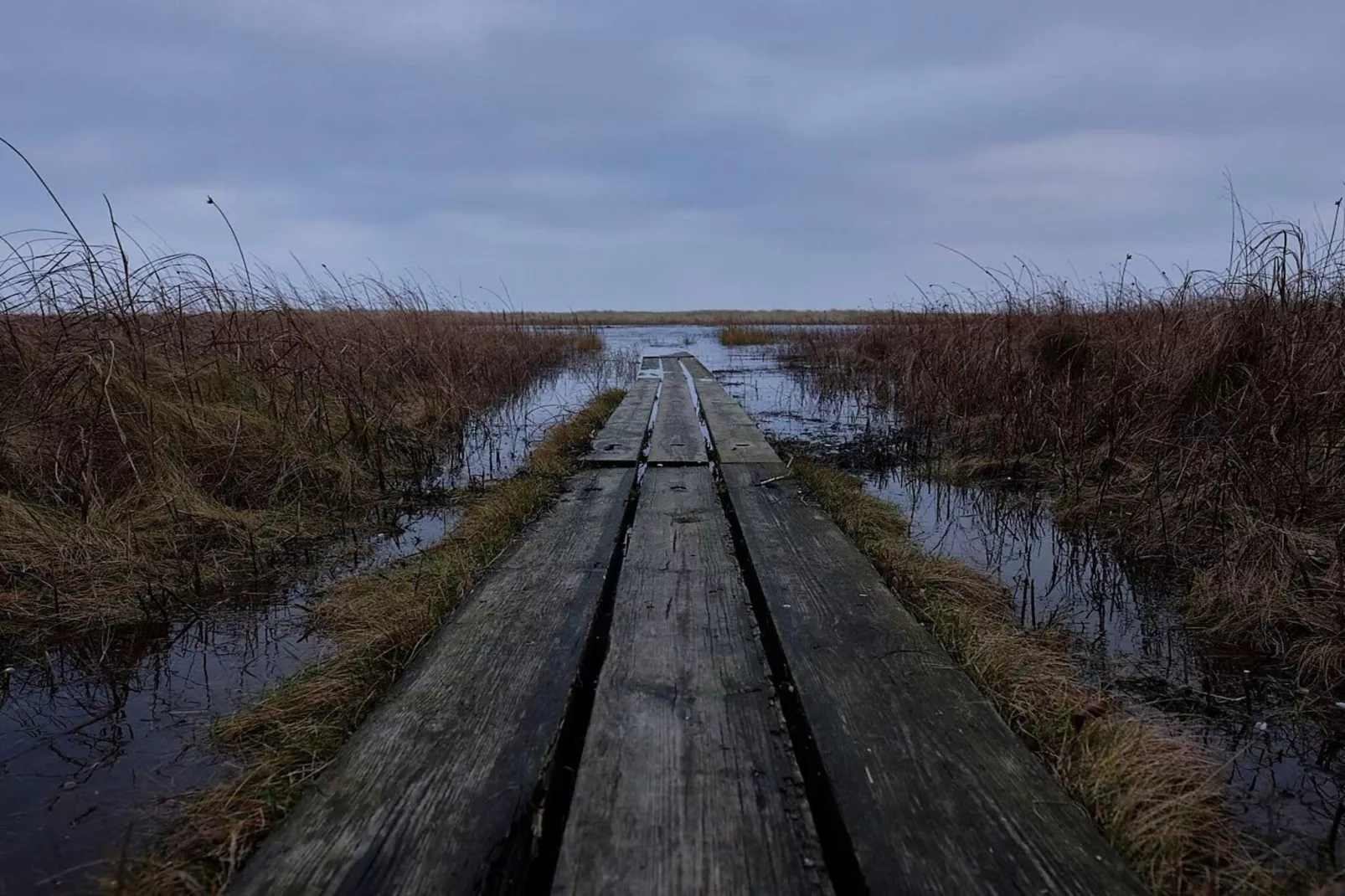 Havre tranquille pres du golf-By Traum-Non tagué